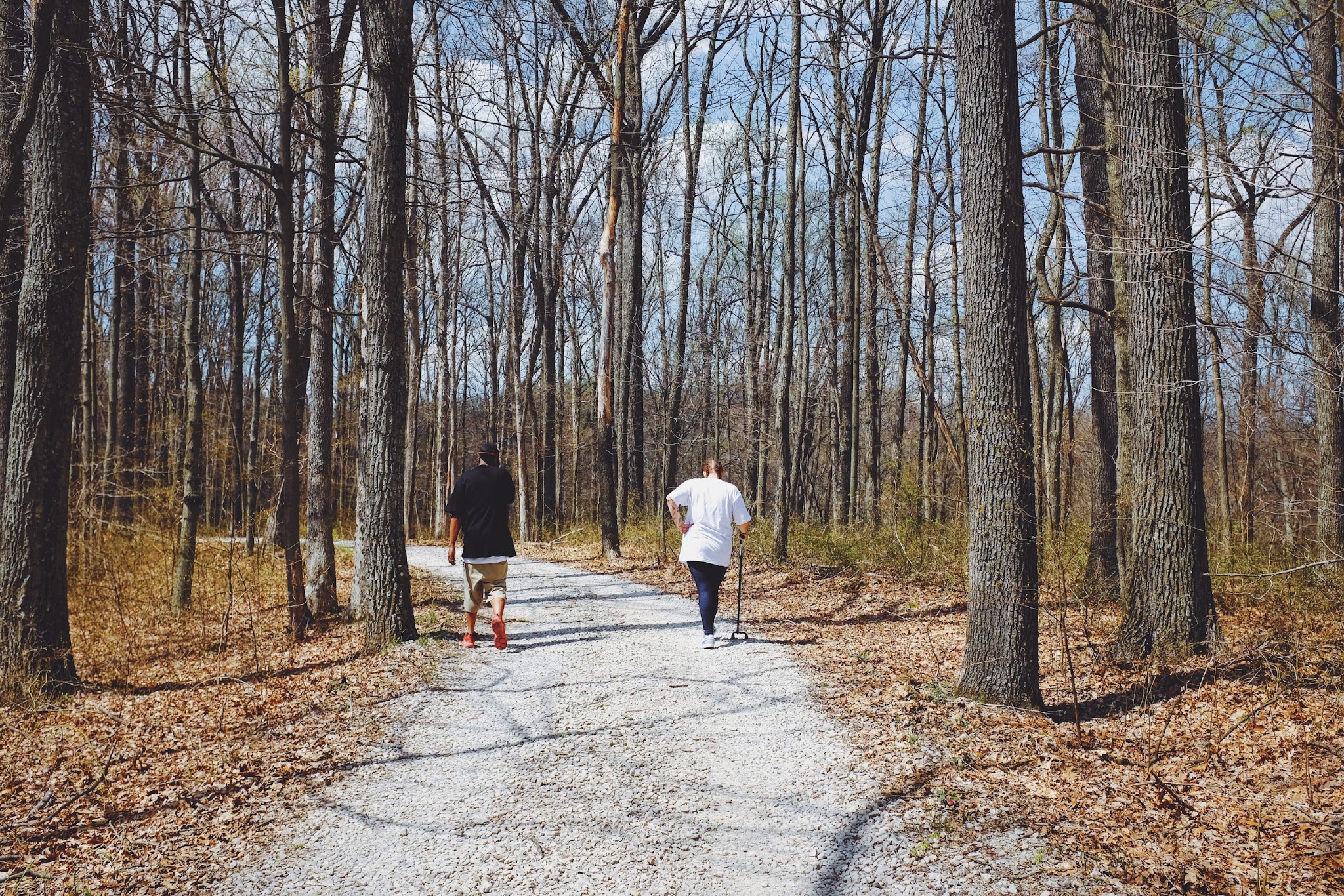 Morgan-Monroe State Forest
