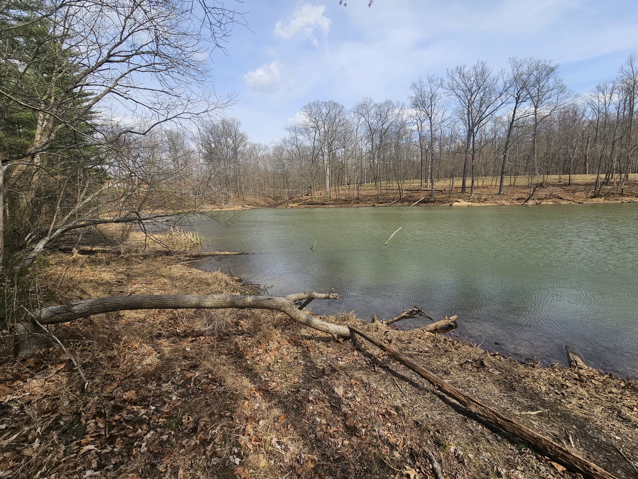 Morgan-Monroe State Forest