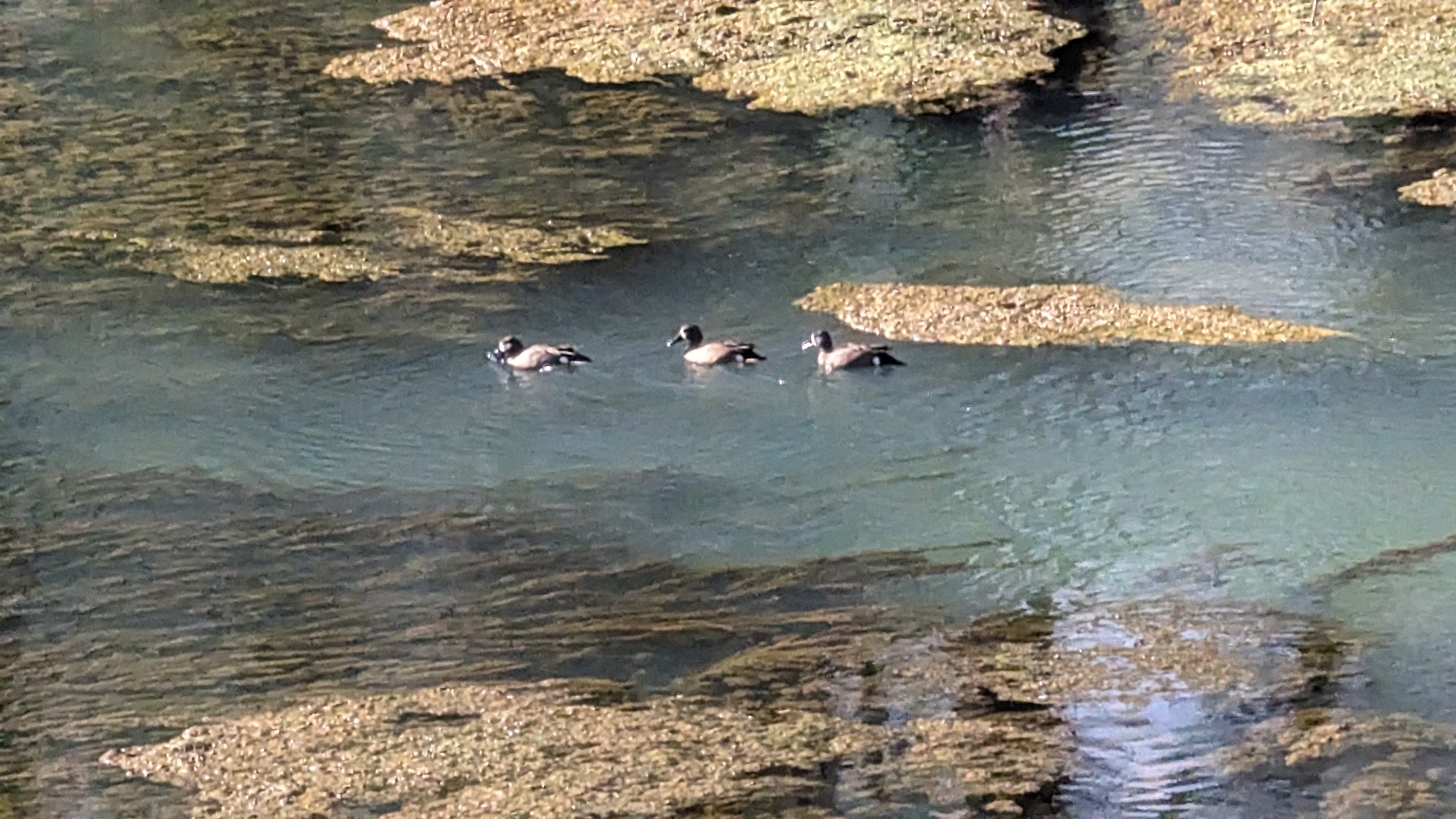 Morgan Spring Float Camp