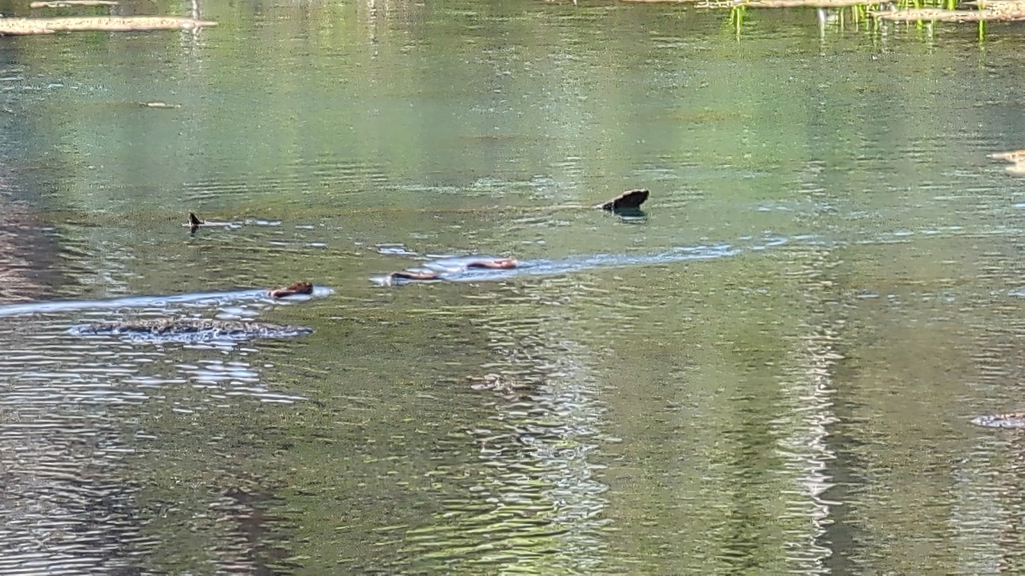 Morgan Spring Float Camp