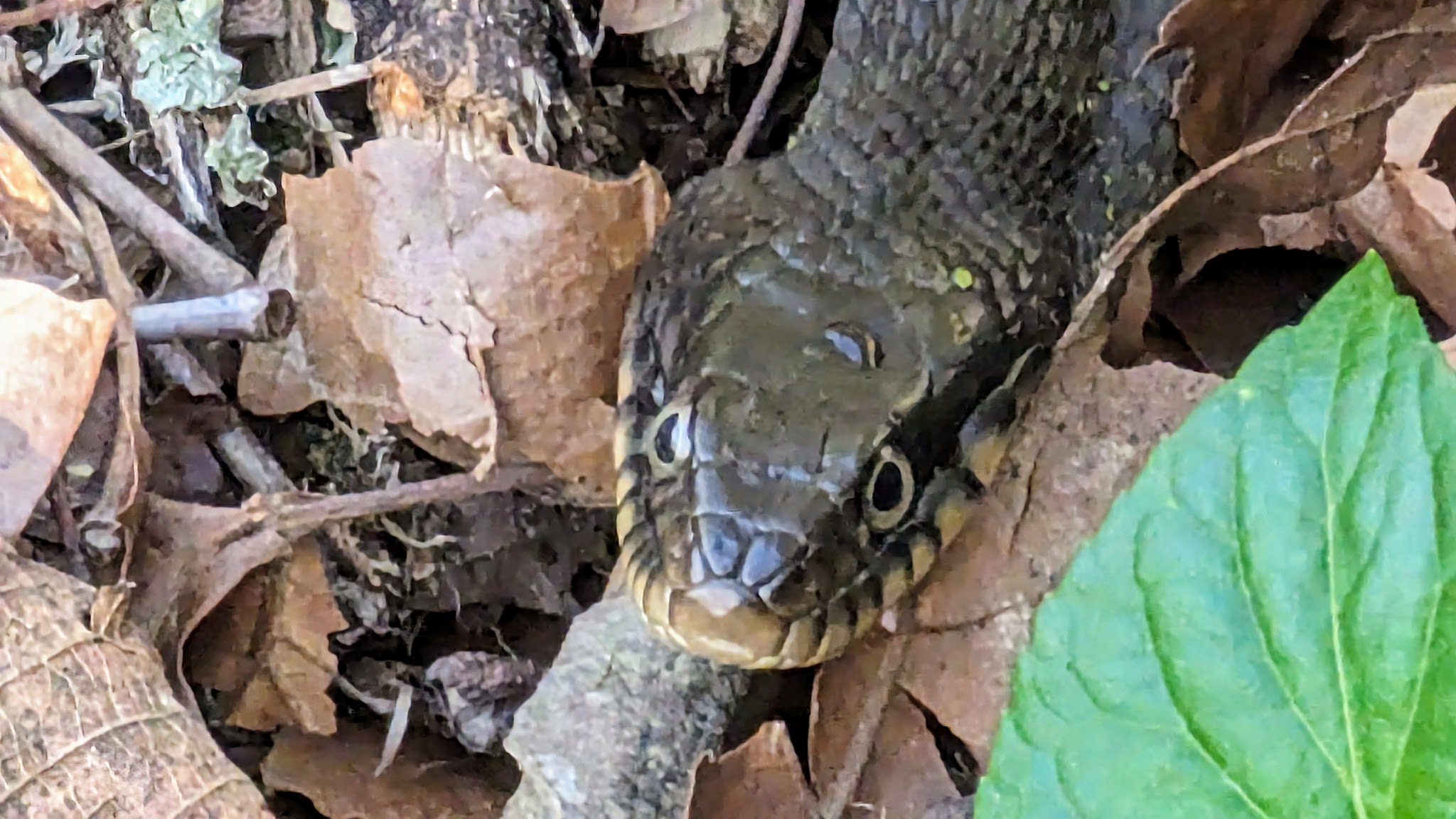 Morgan Spring Float Camp