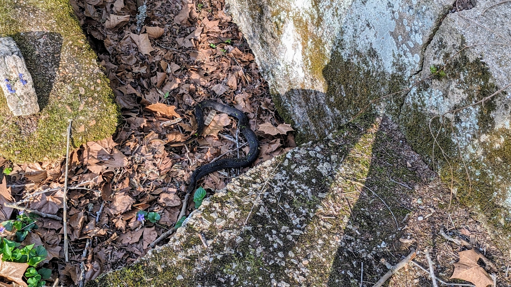 Morgan Spring Float Camp