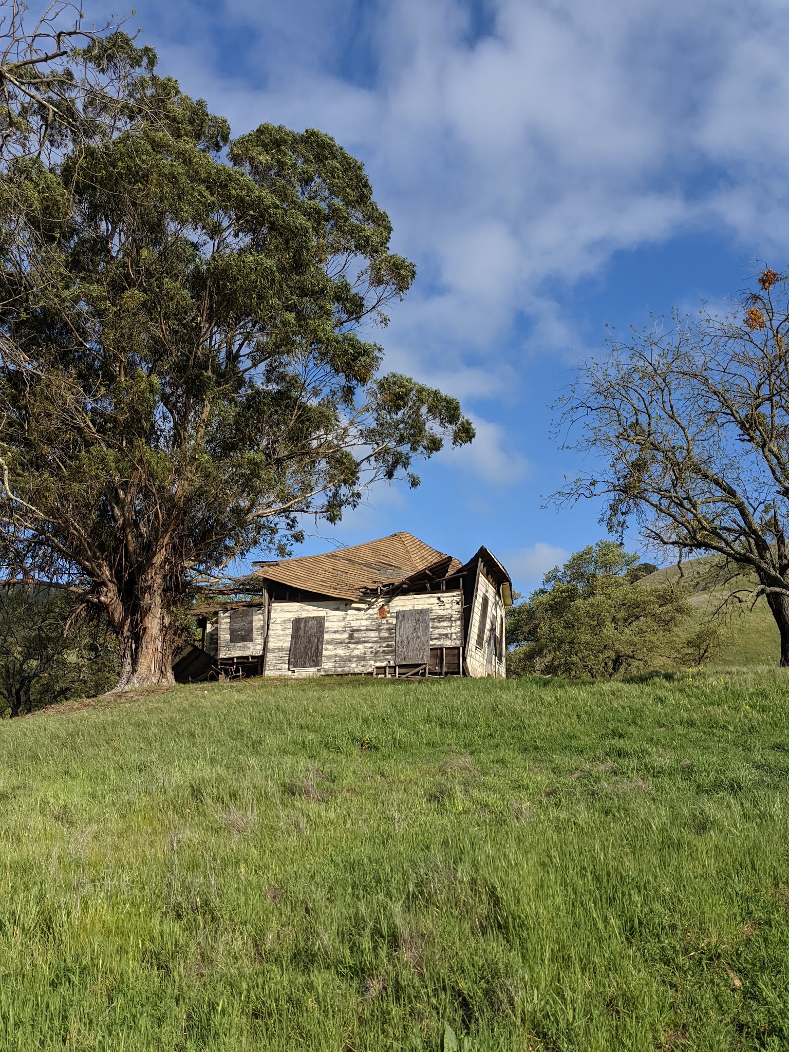 Morgan Territory Regional Preserve