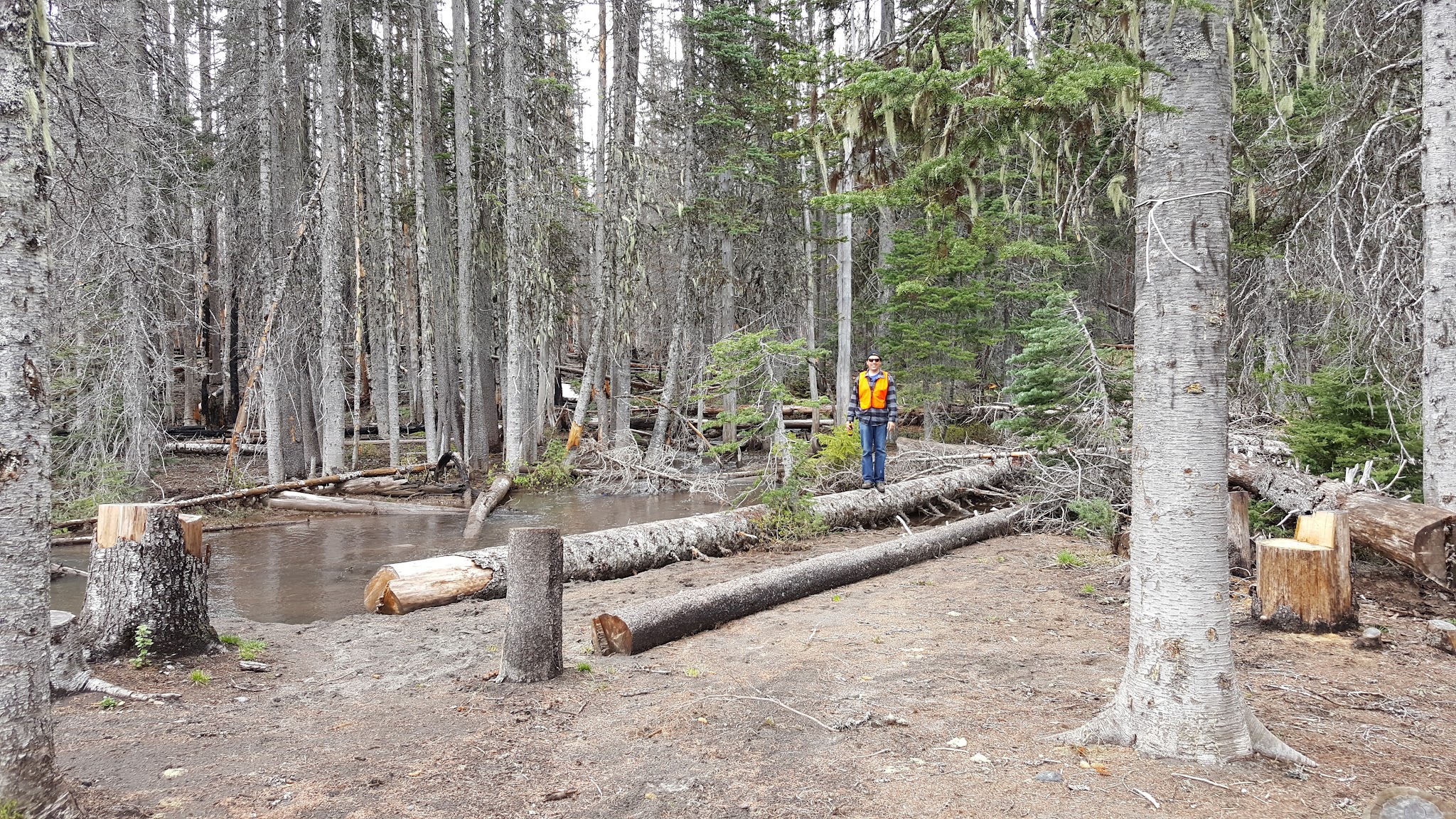 Campground: Morrison Creek