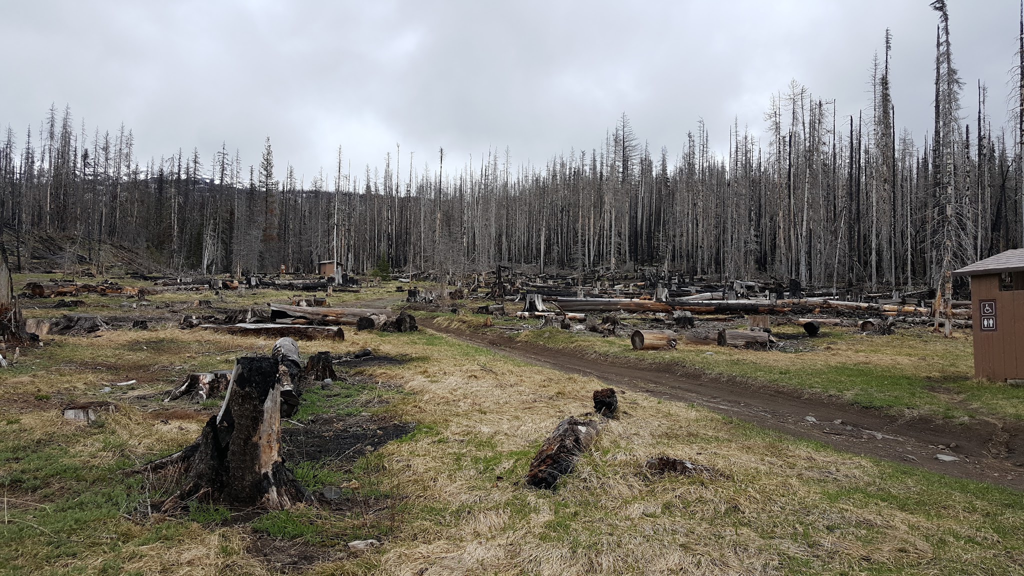 Campground: Morrison Creek