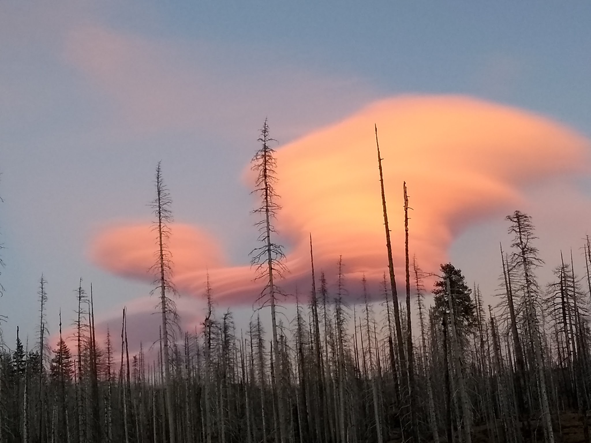 Campground: Morrison Creek