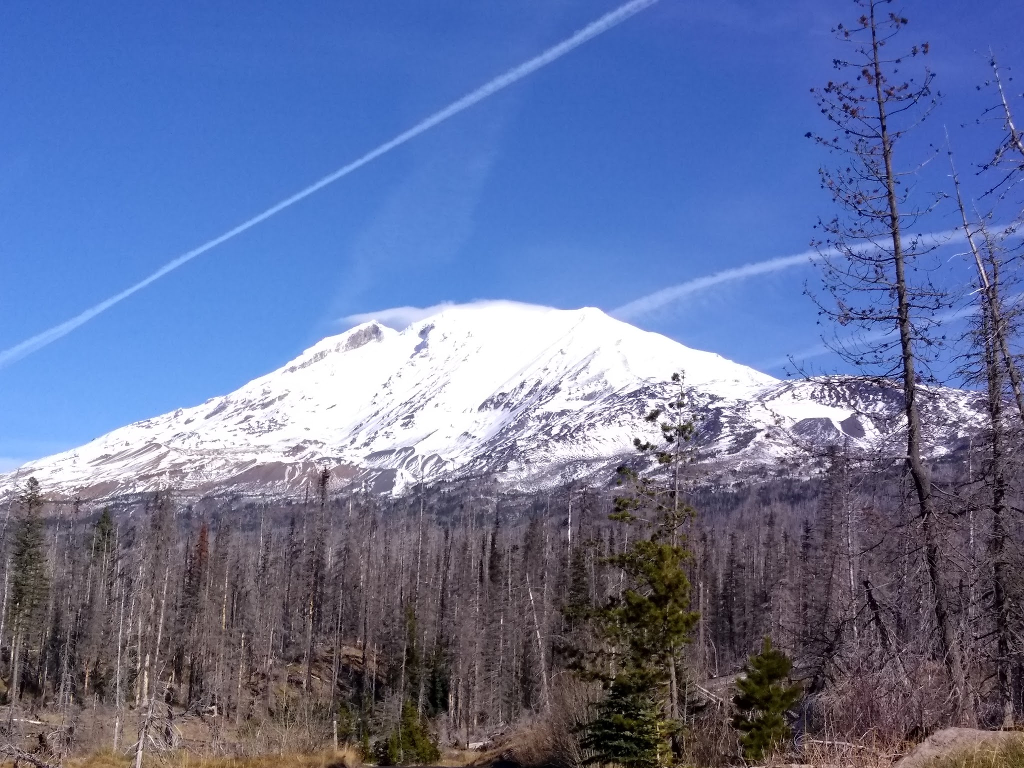 Campground: Morrison Creek