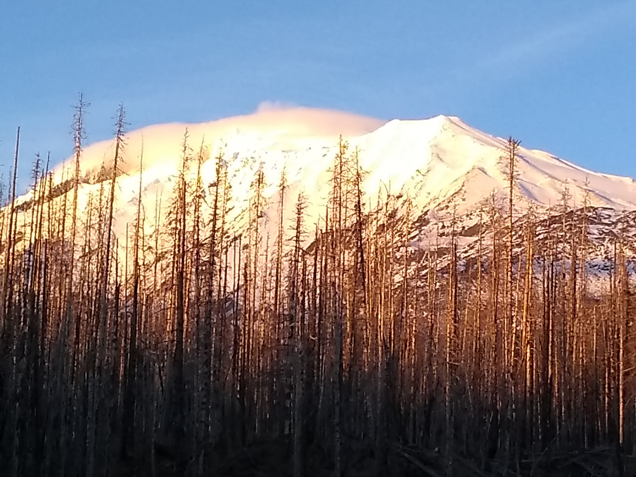 Campground: Morrison Creek