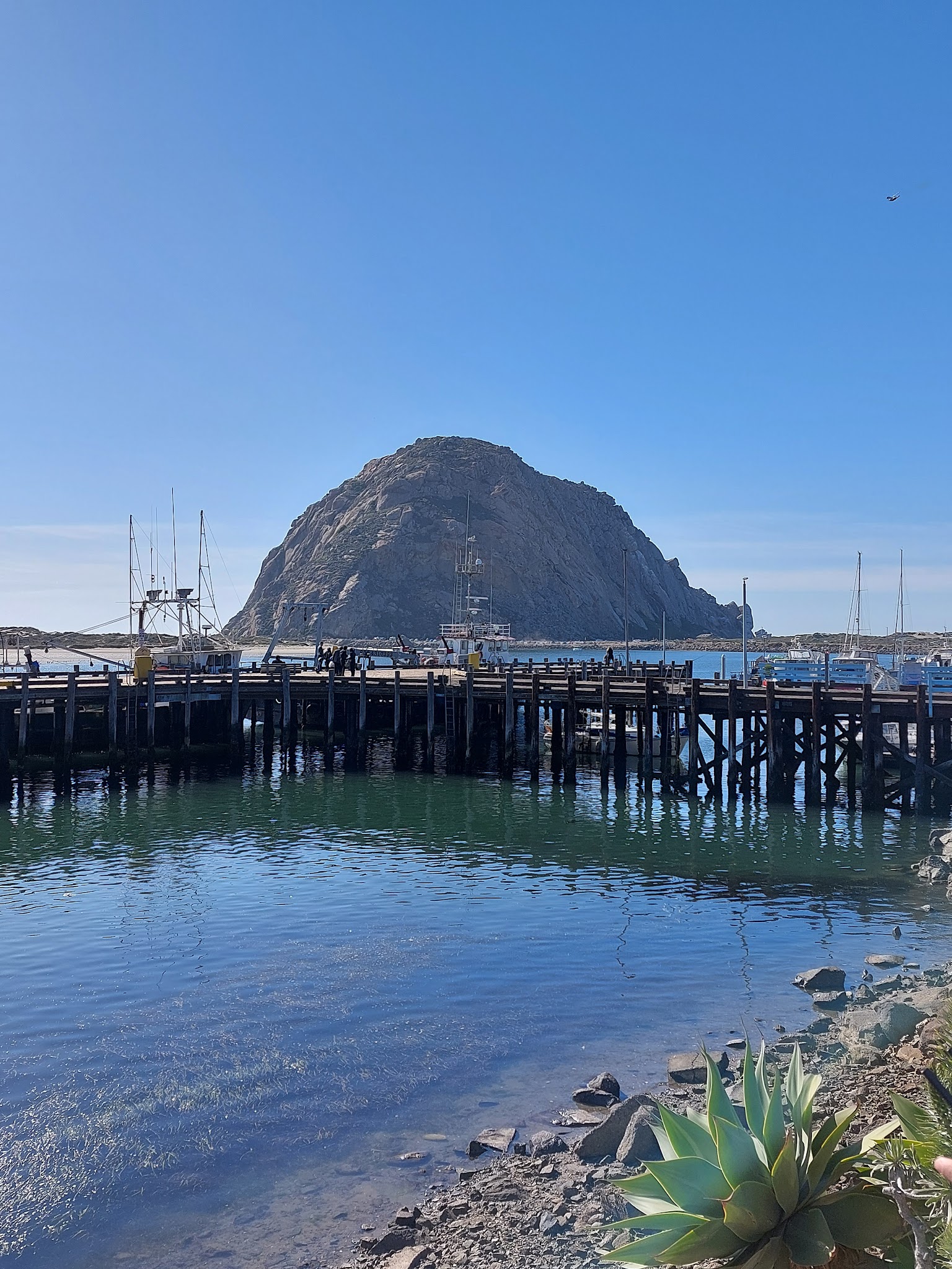 Morro Bay State Park Campground
