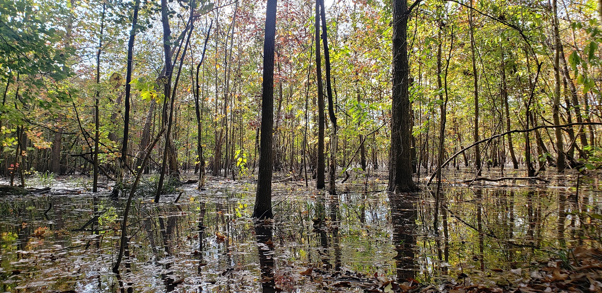 Morrow Bridge And Midway Seasonal Camps