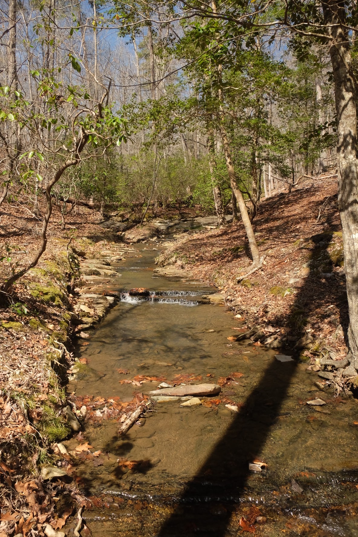 Morrow Mountain State Park