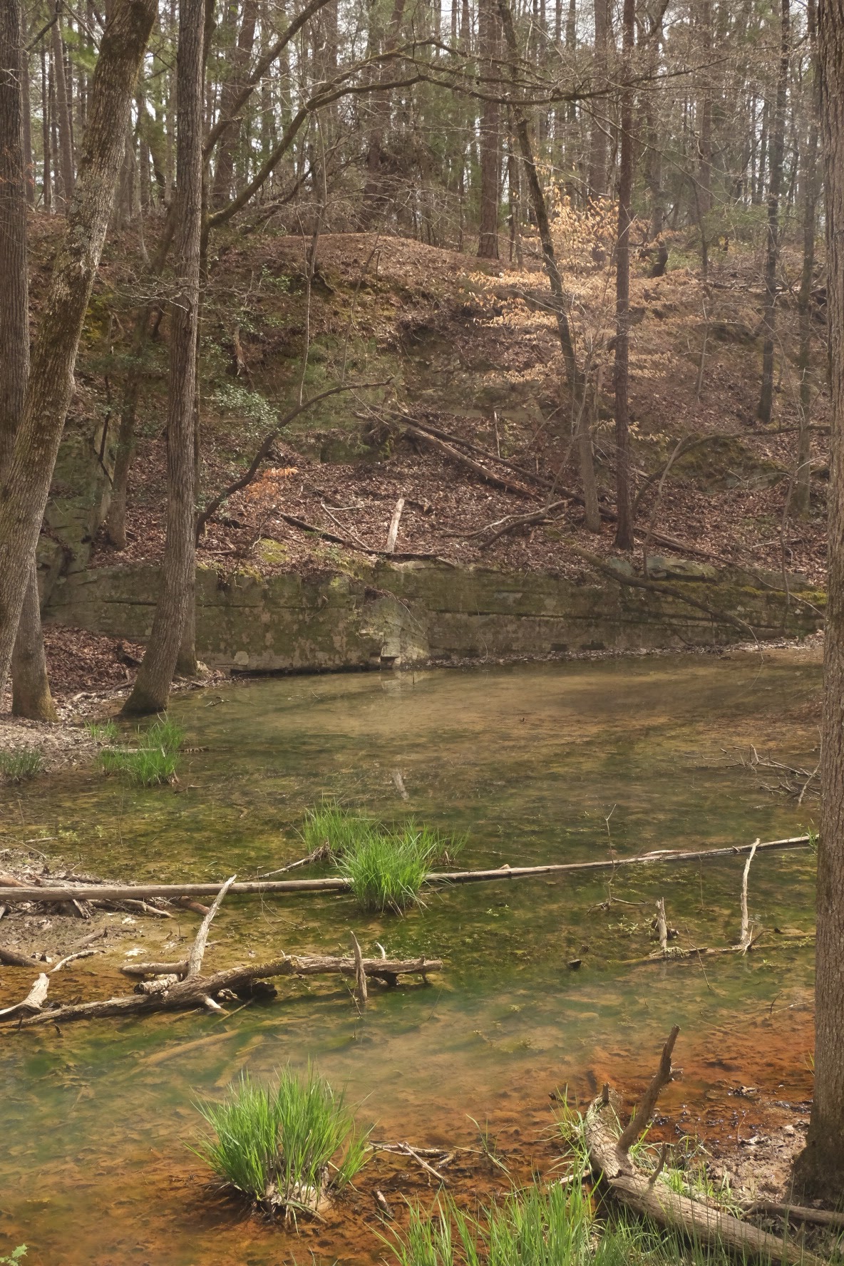 Morrow Mountain State Park