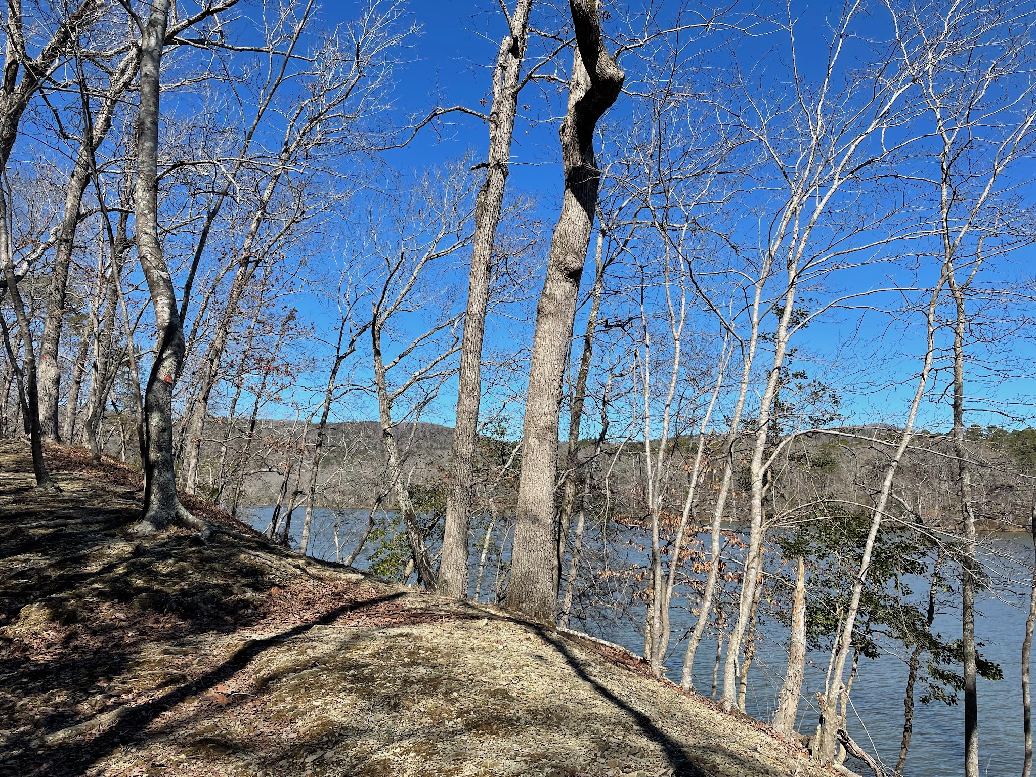 Morrow Mountain State Park