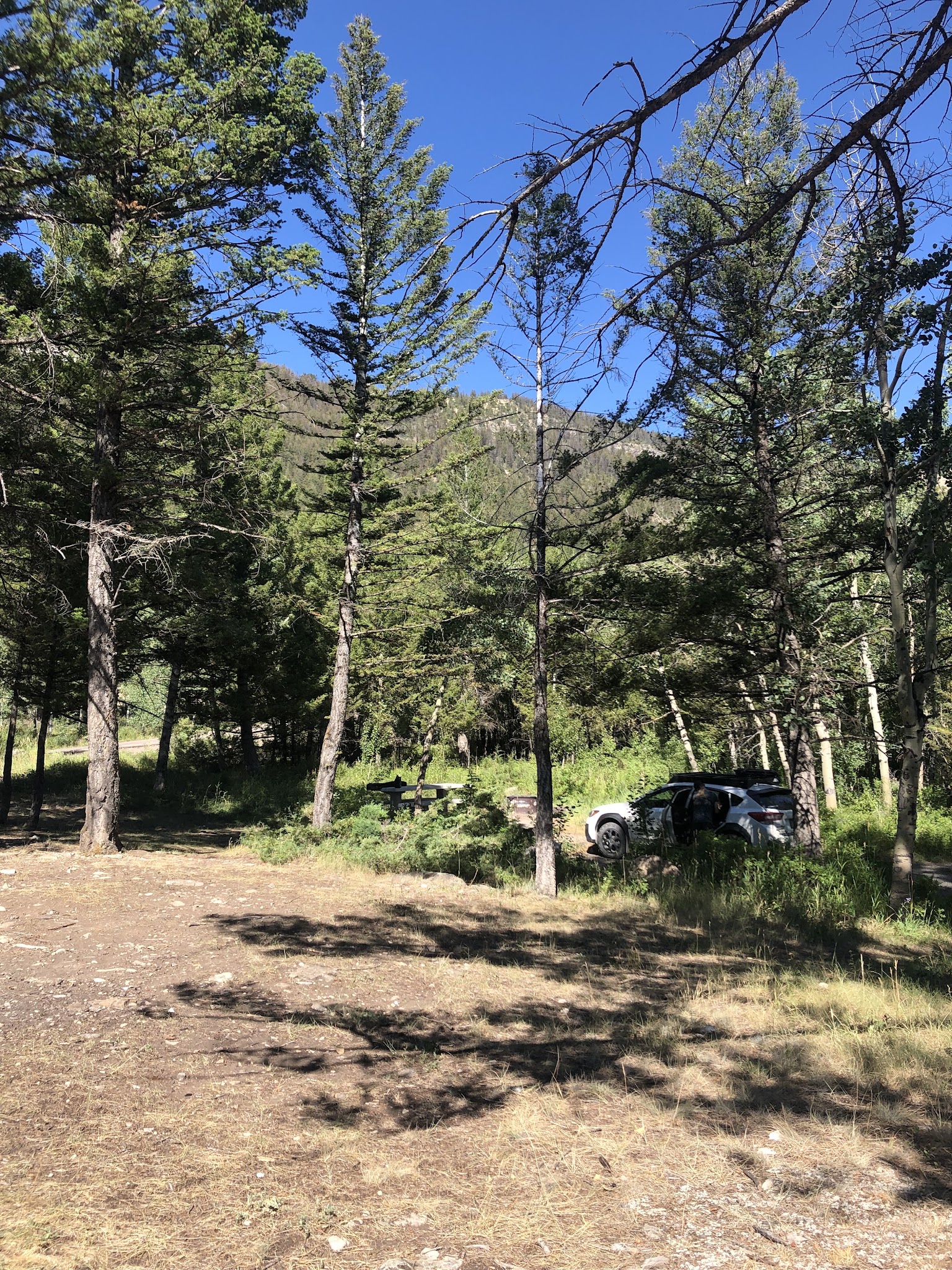 Mortimer Gulch Campground