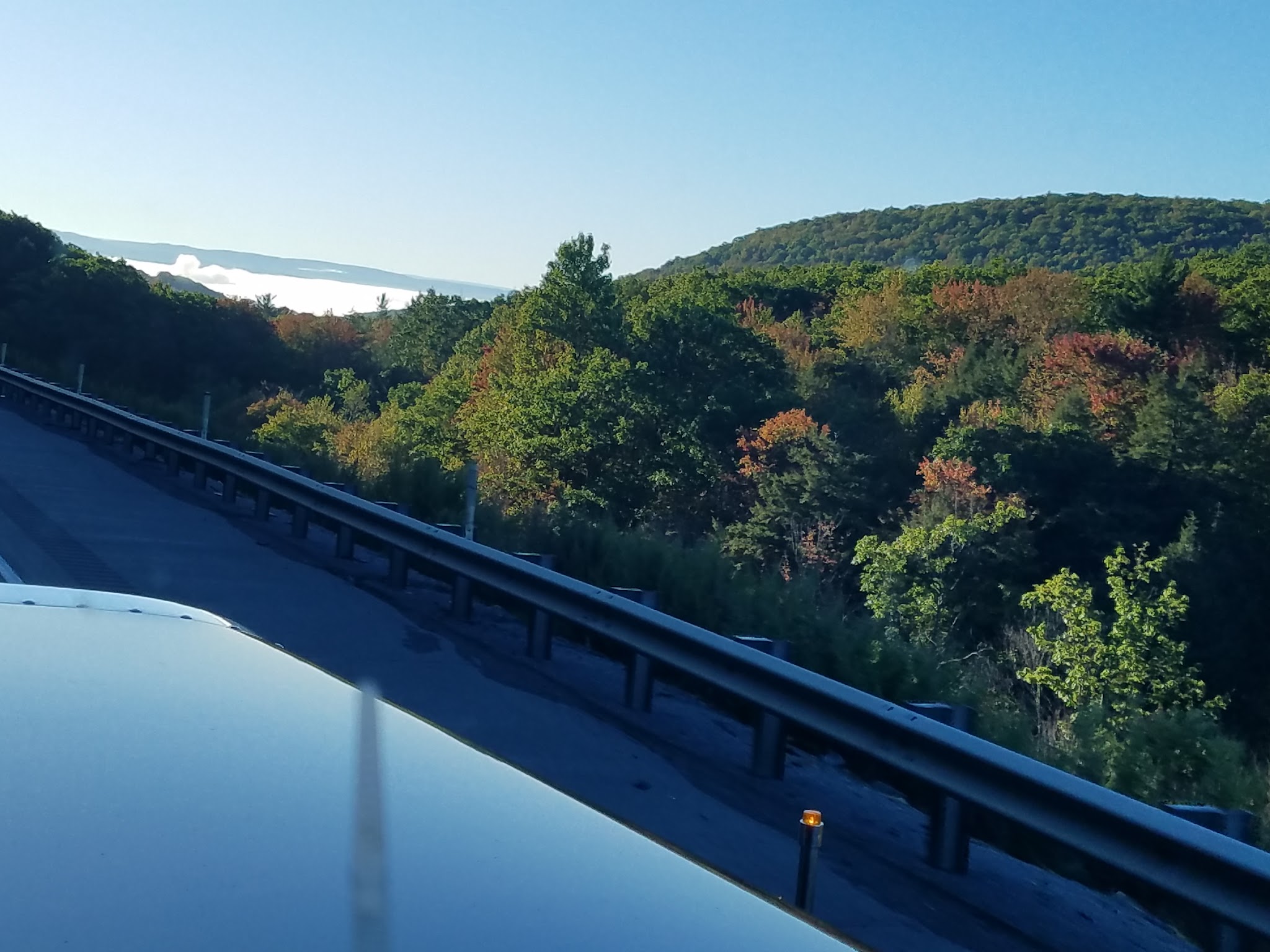 Moshannon State Forest