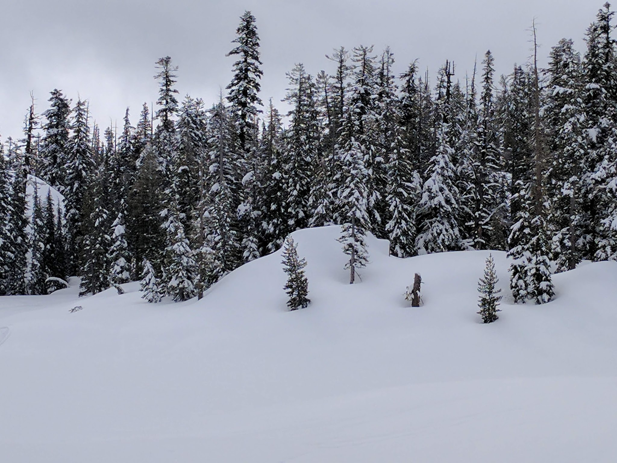 Mosquito Lakes Campground
