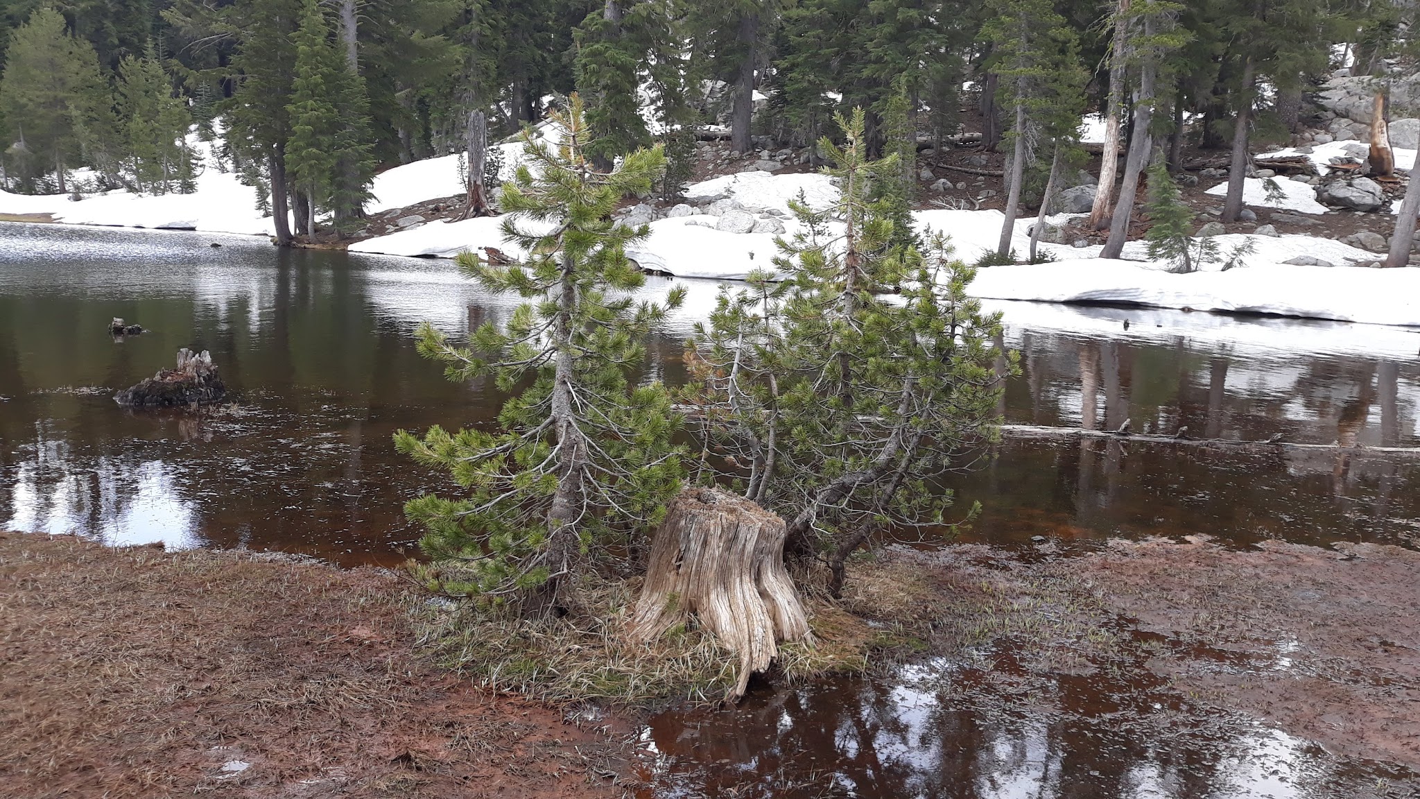 Mosquito Lakes Campground