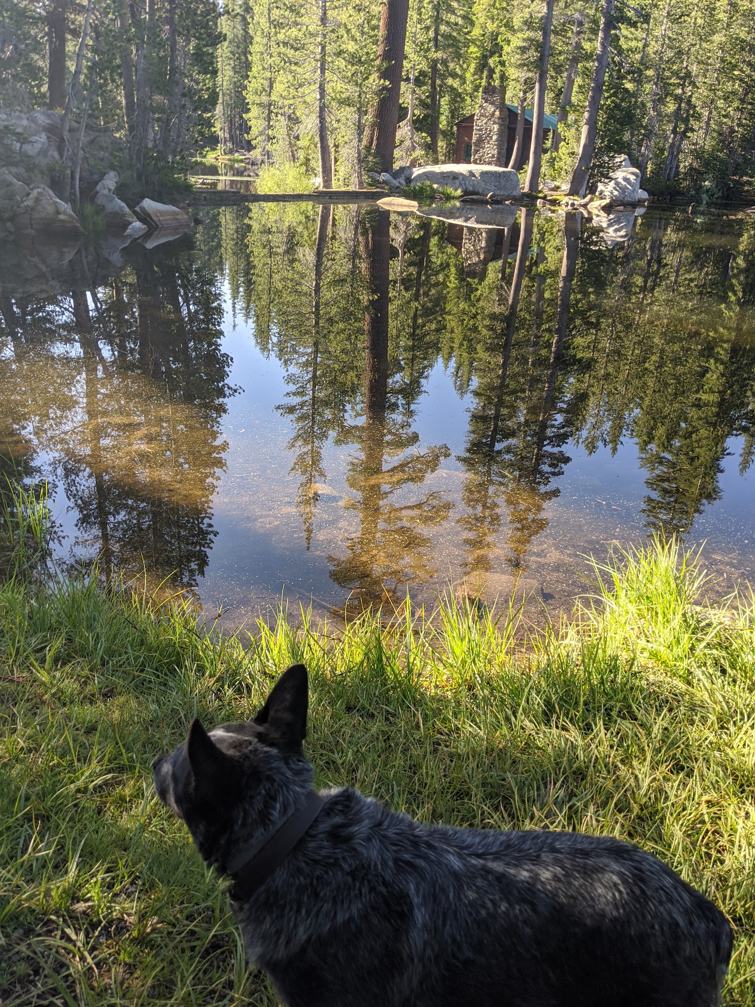 Mosquito Lakes Campground