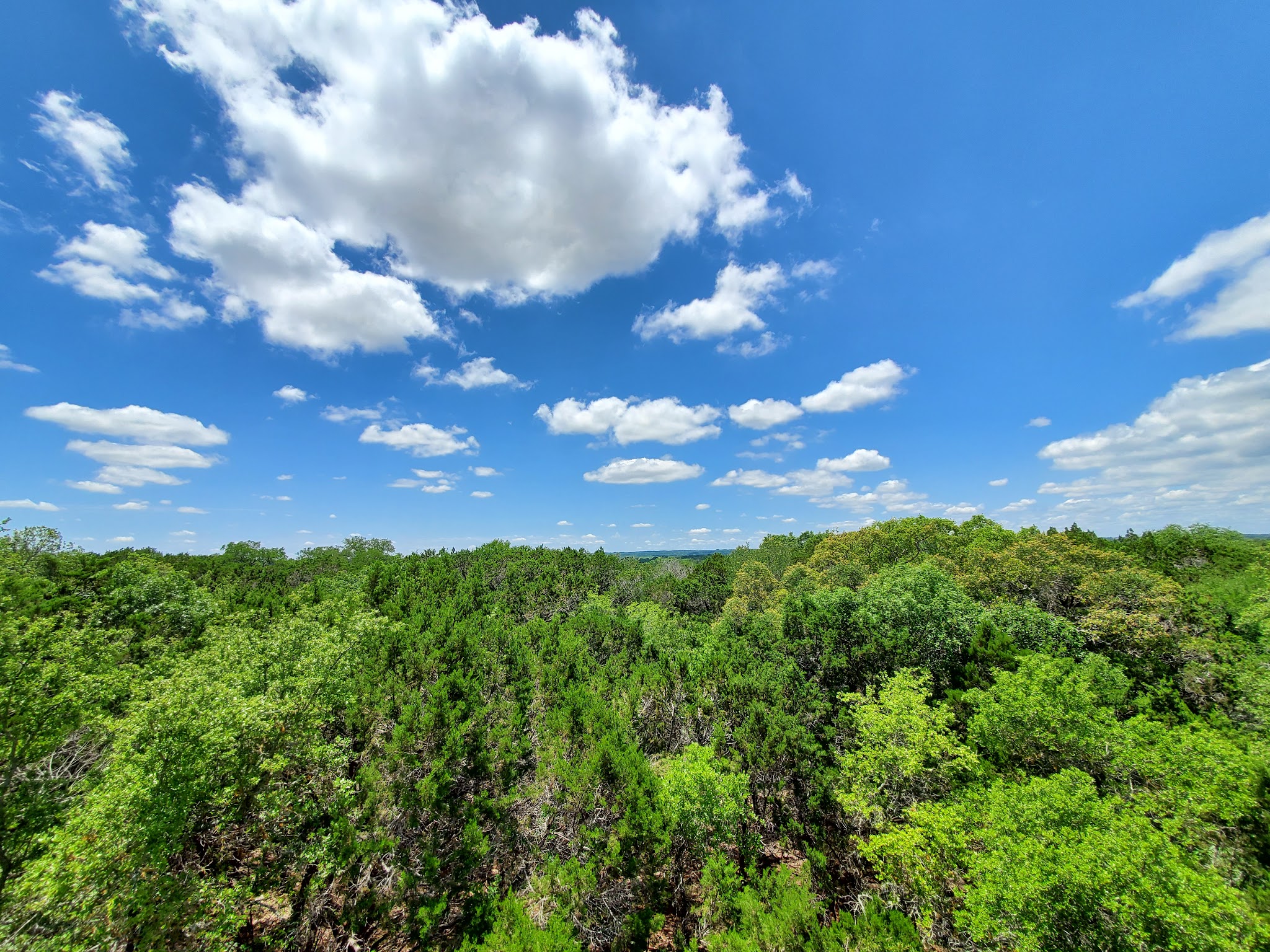 Mother Neff State Park