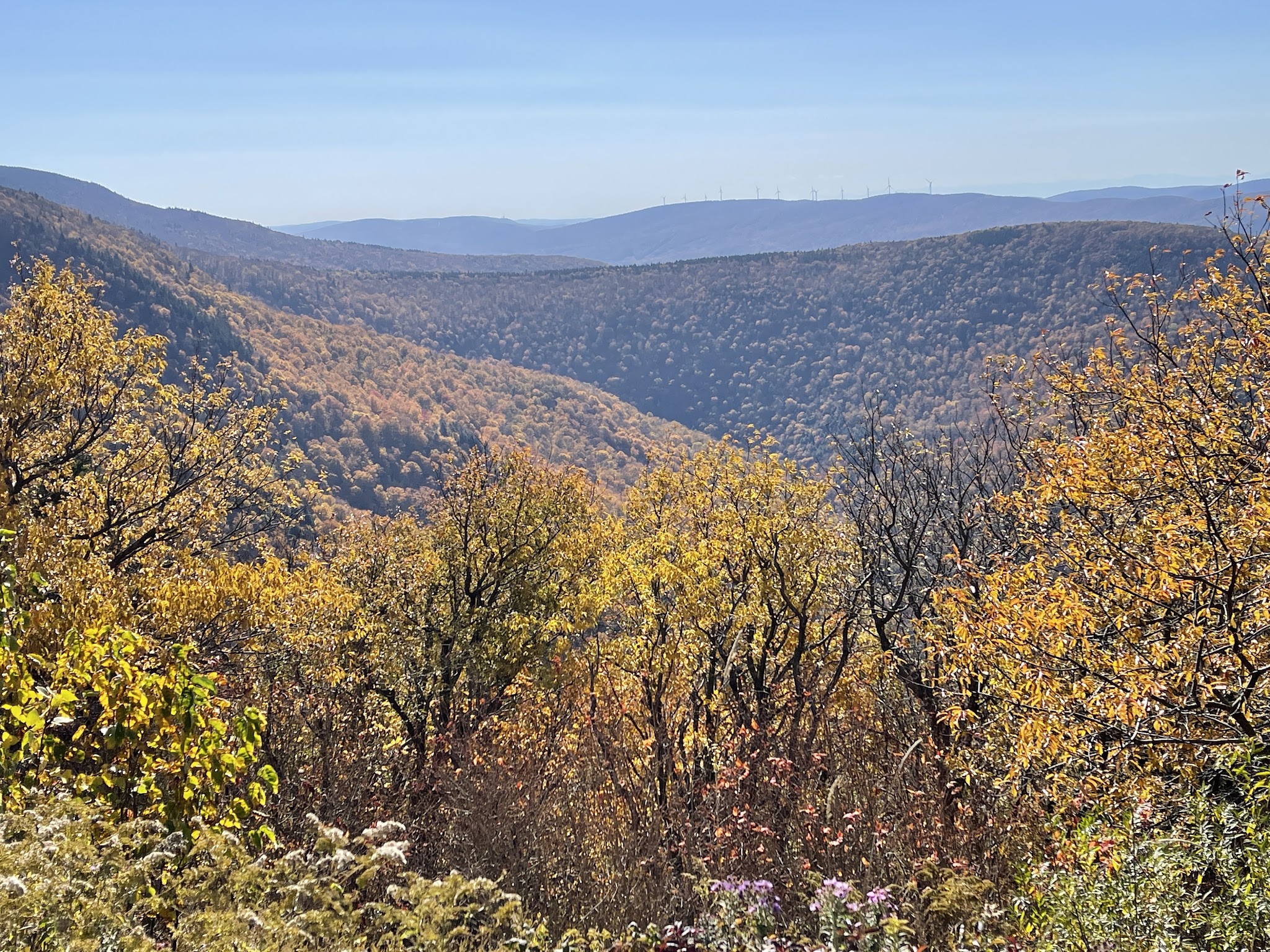 Mt. Greylock State Reservation