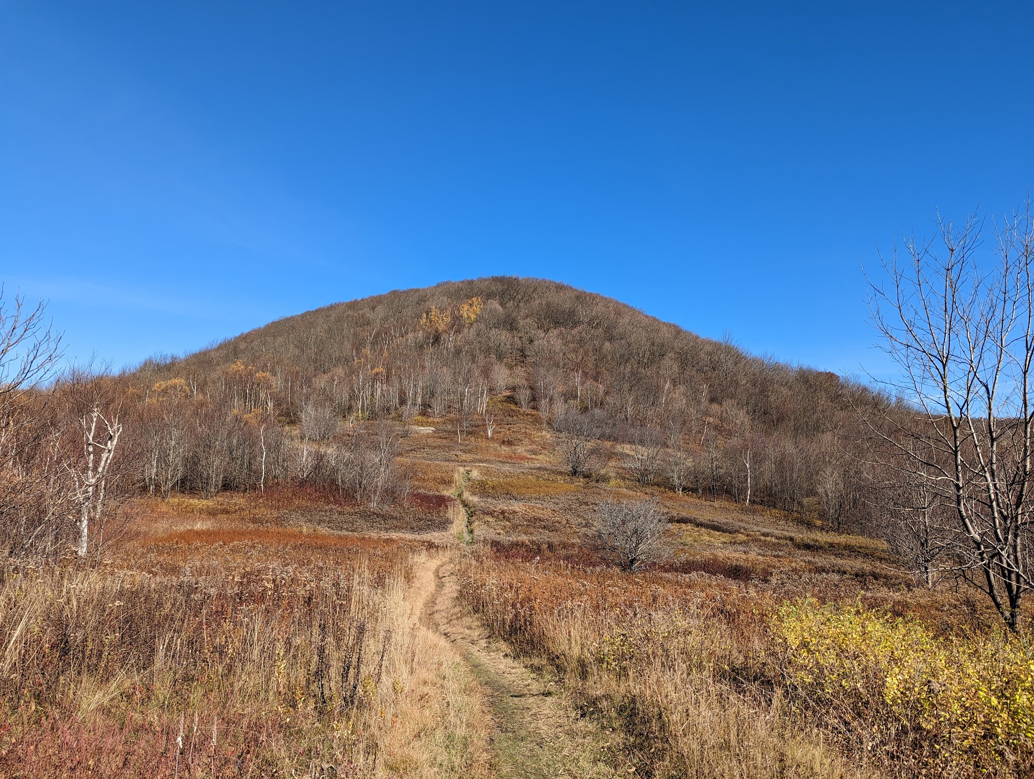 Mt. Greylock State Reservation