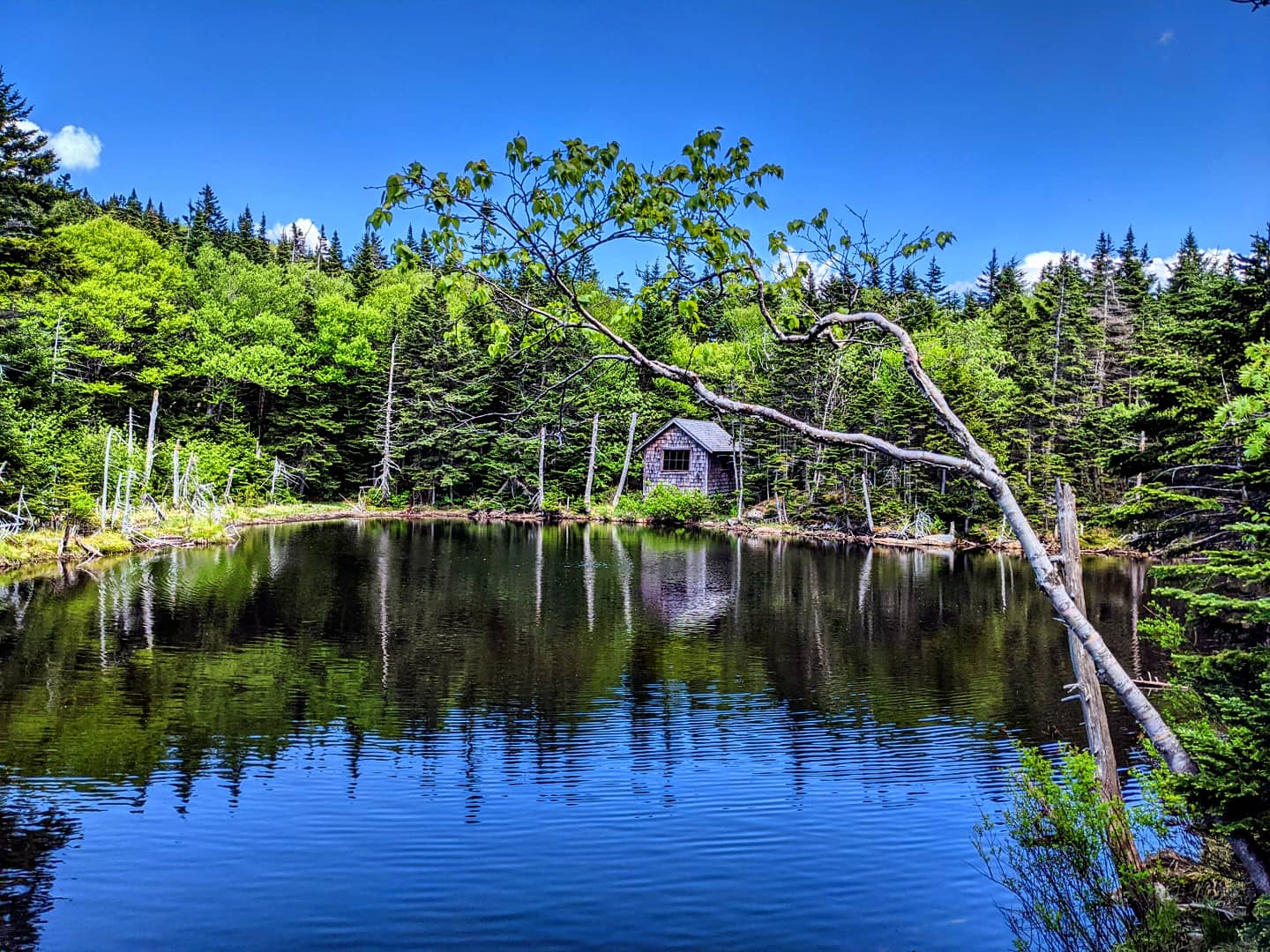 Mt. Greylock State Reservation
