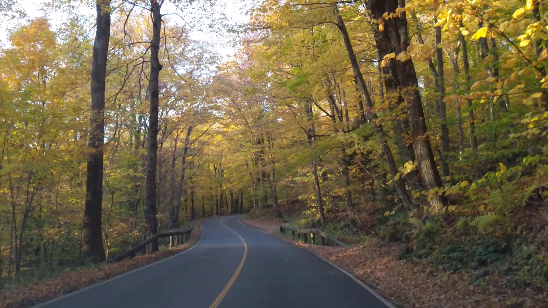 Mt. Greylock State Reservation