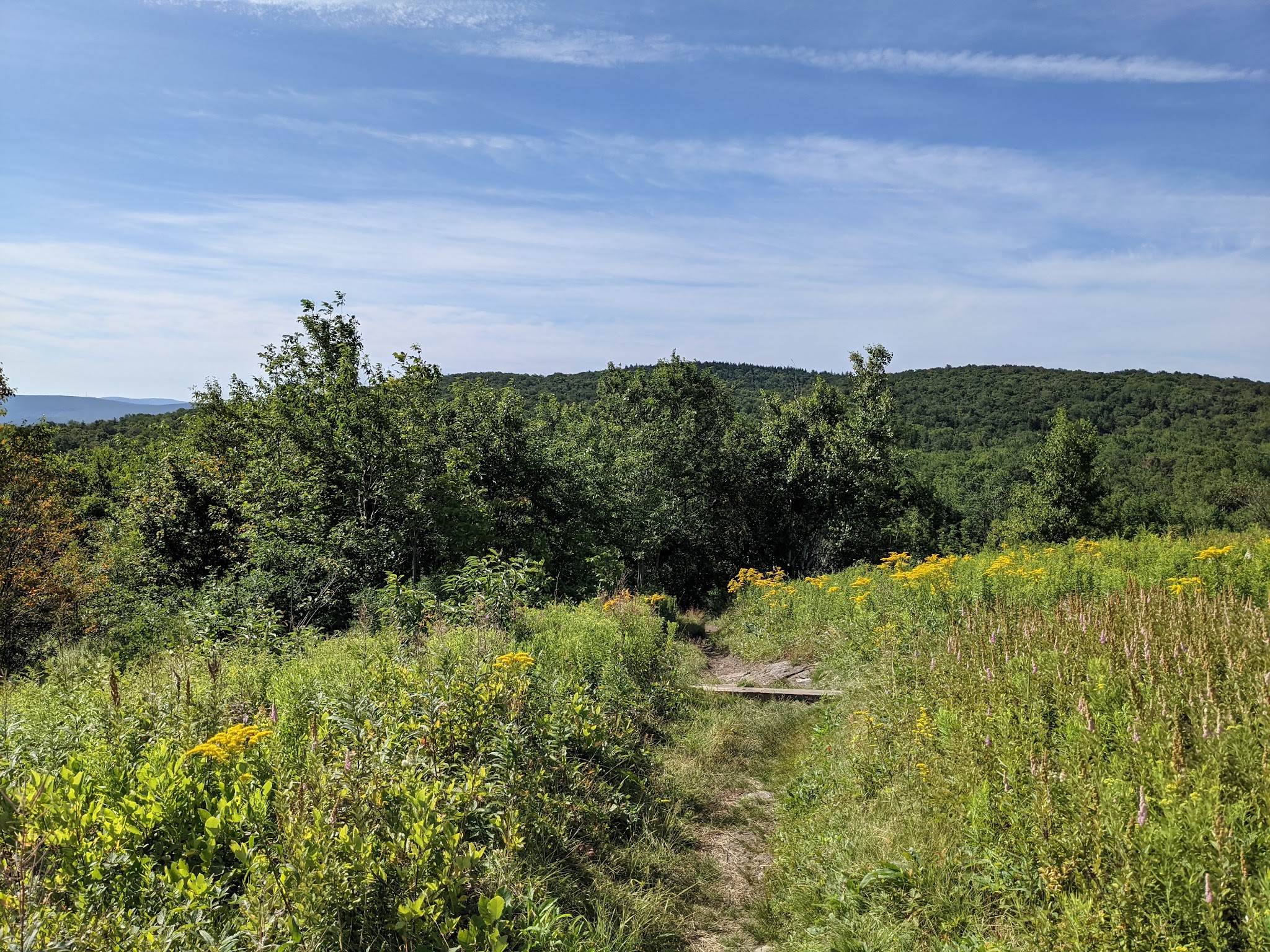 Mt. Greylock State Reservation