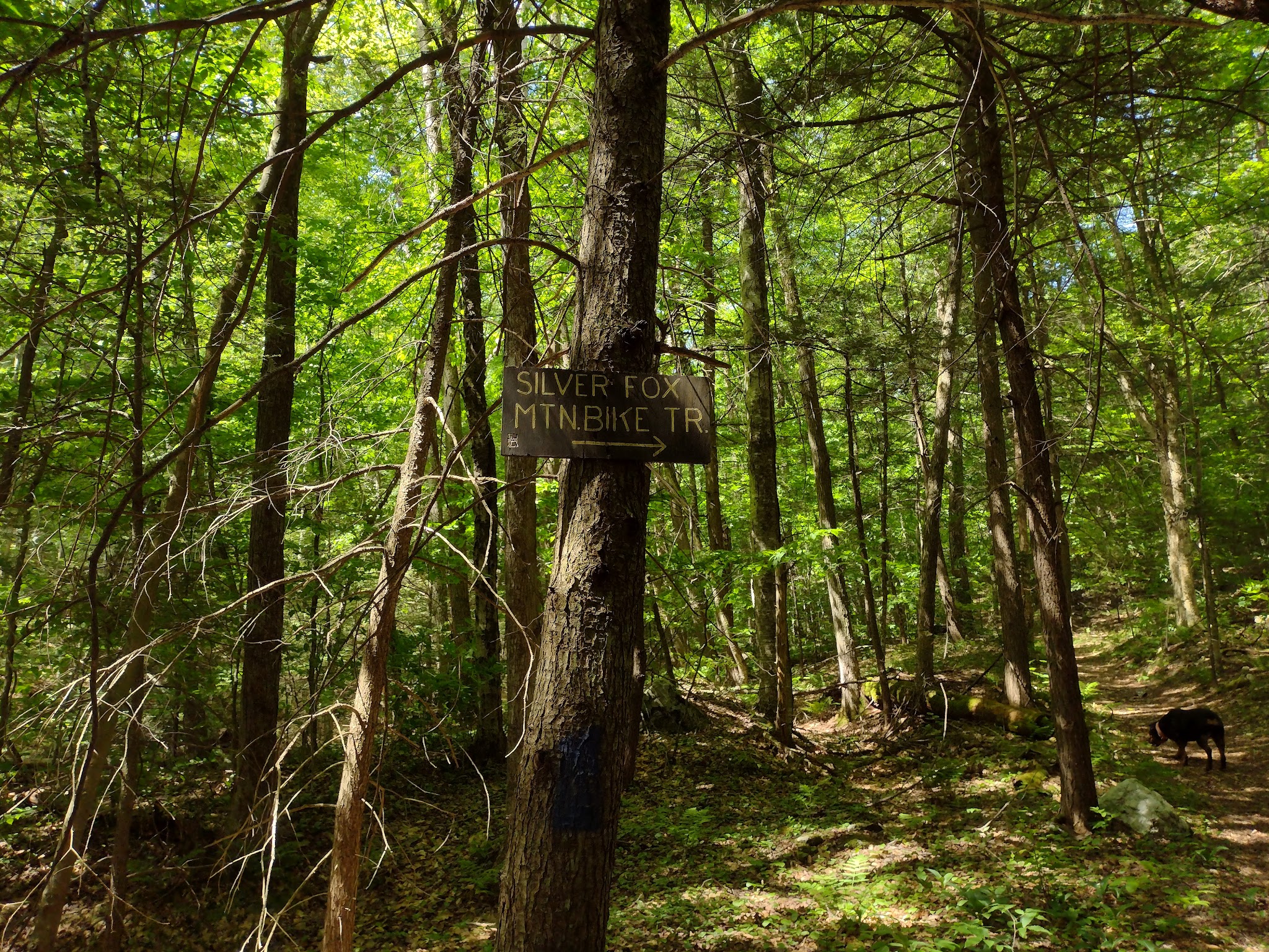 Mt. Greylock State Reservation