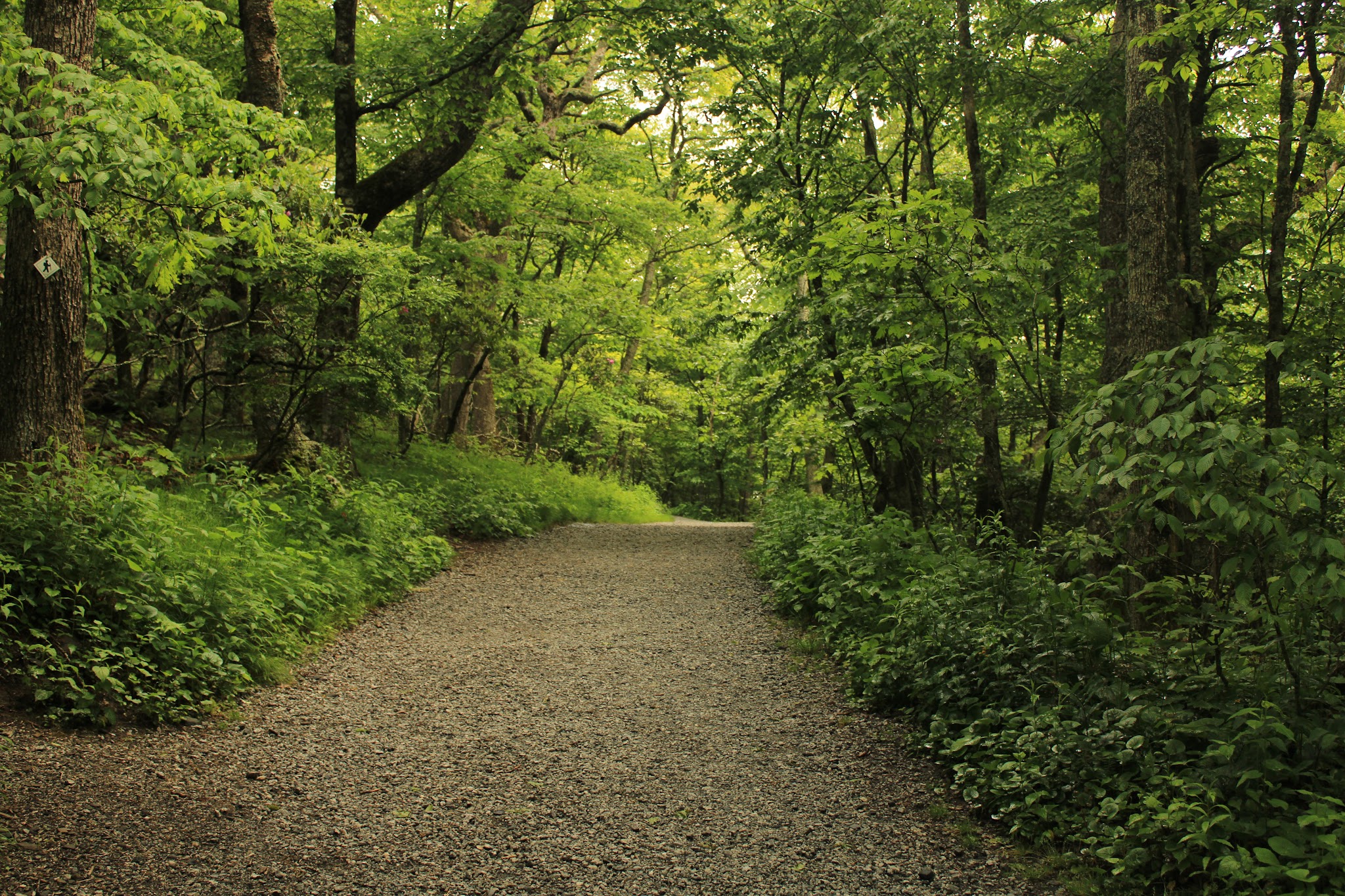 Mount Jefferson State Natural Area