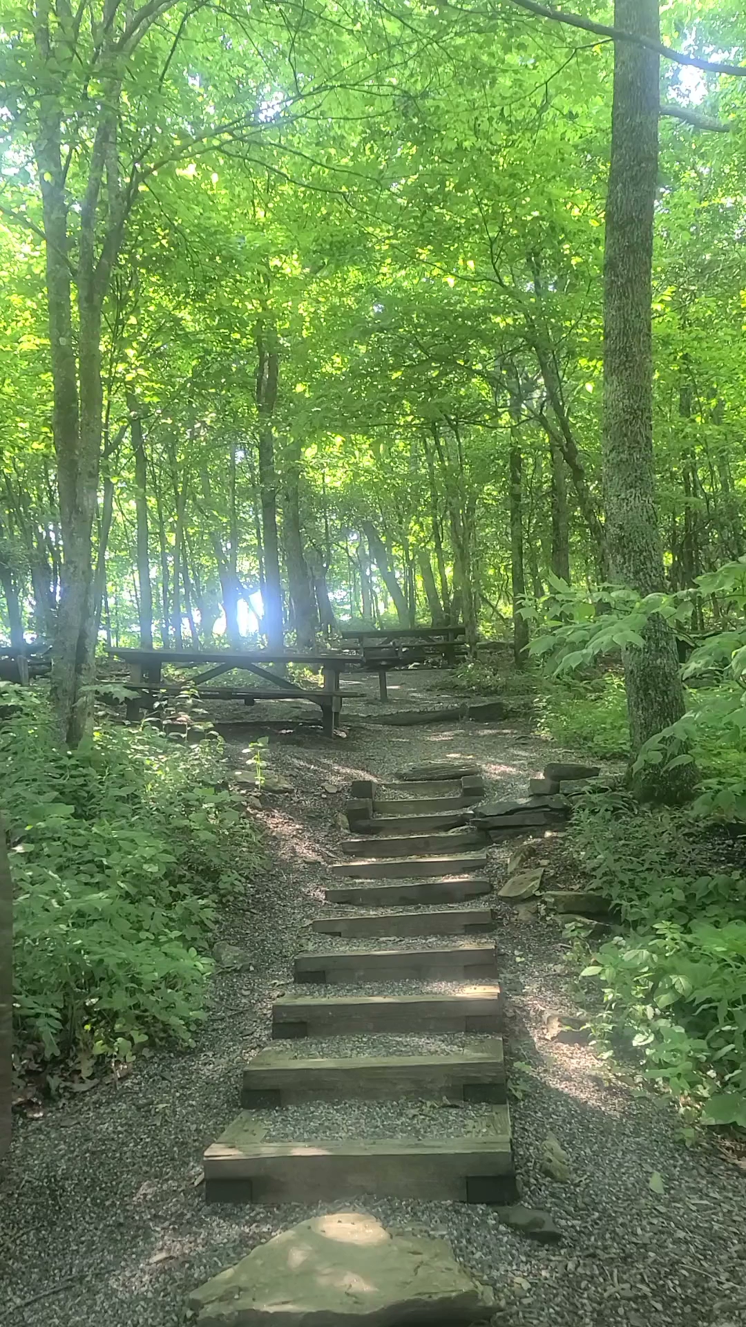 Mount Jefferson State Natural Area