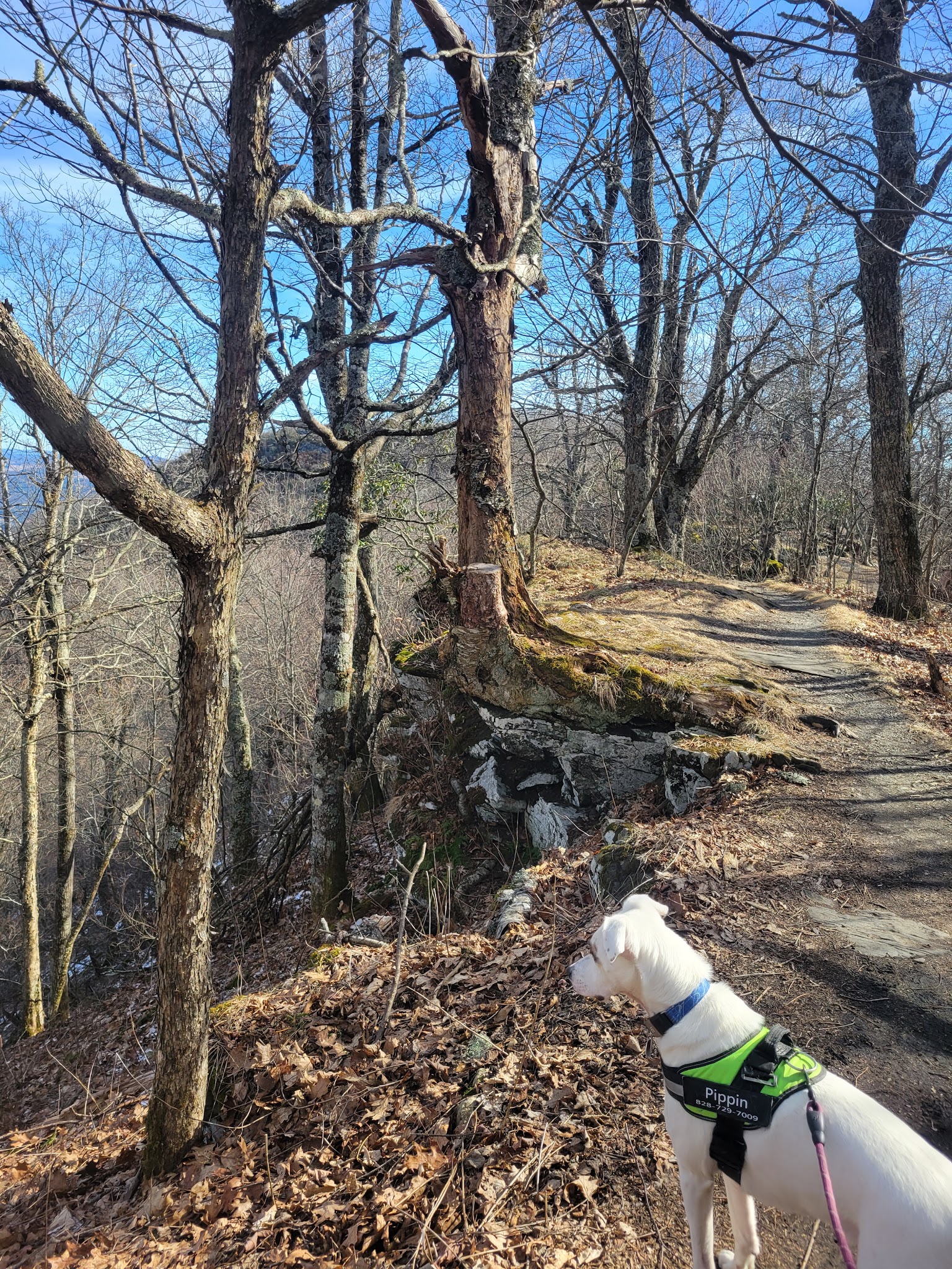 Mount Jefferson State Natural Area