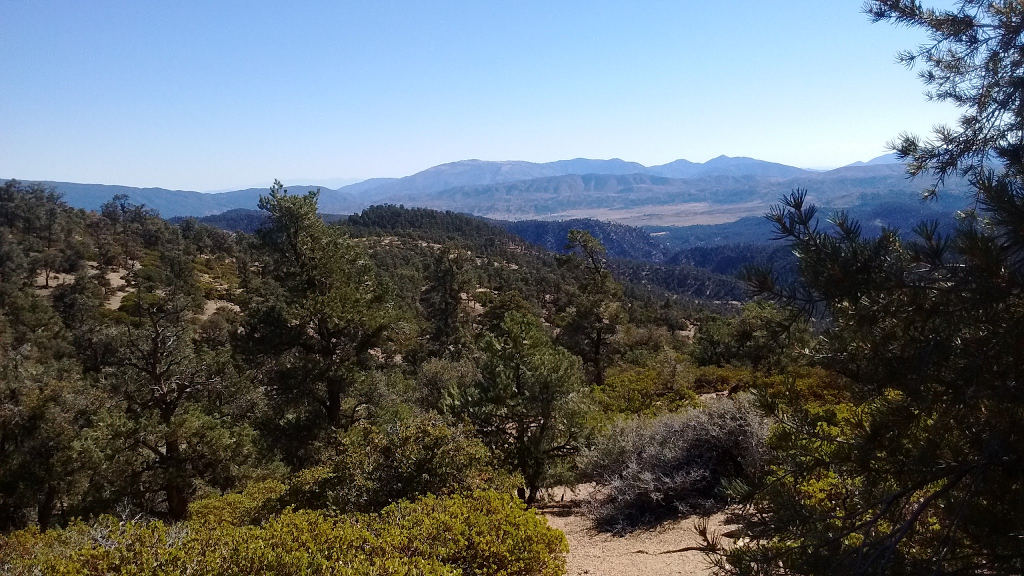 Mt. Pinos Campground