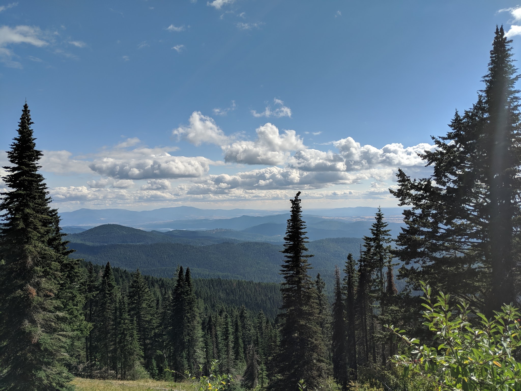 Mount Spokane State Park