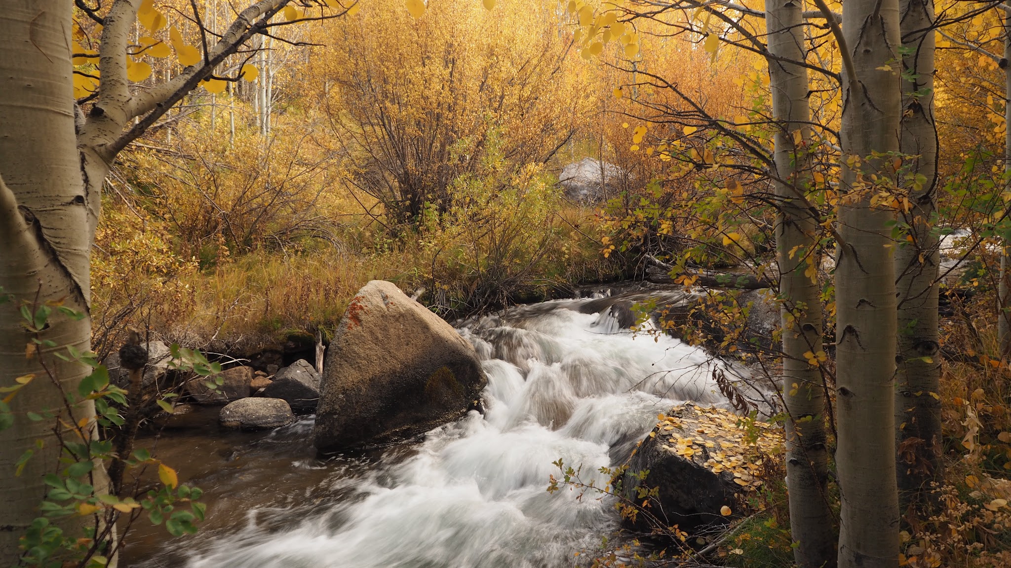 Mountain Glen Campground