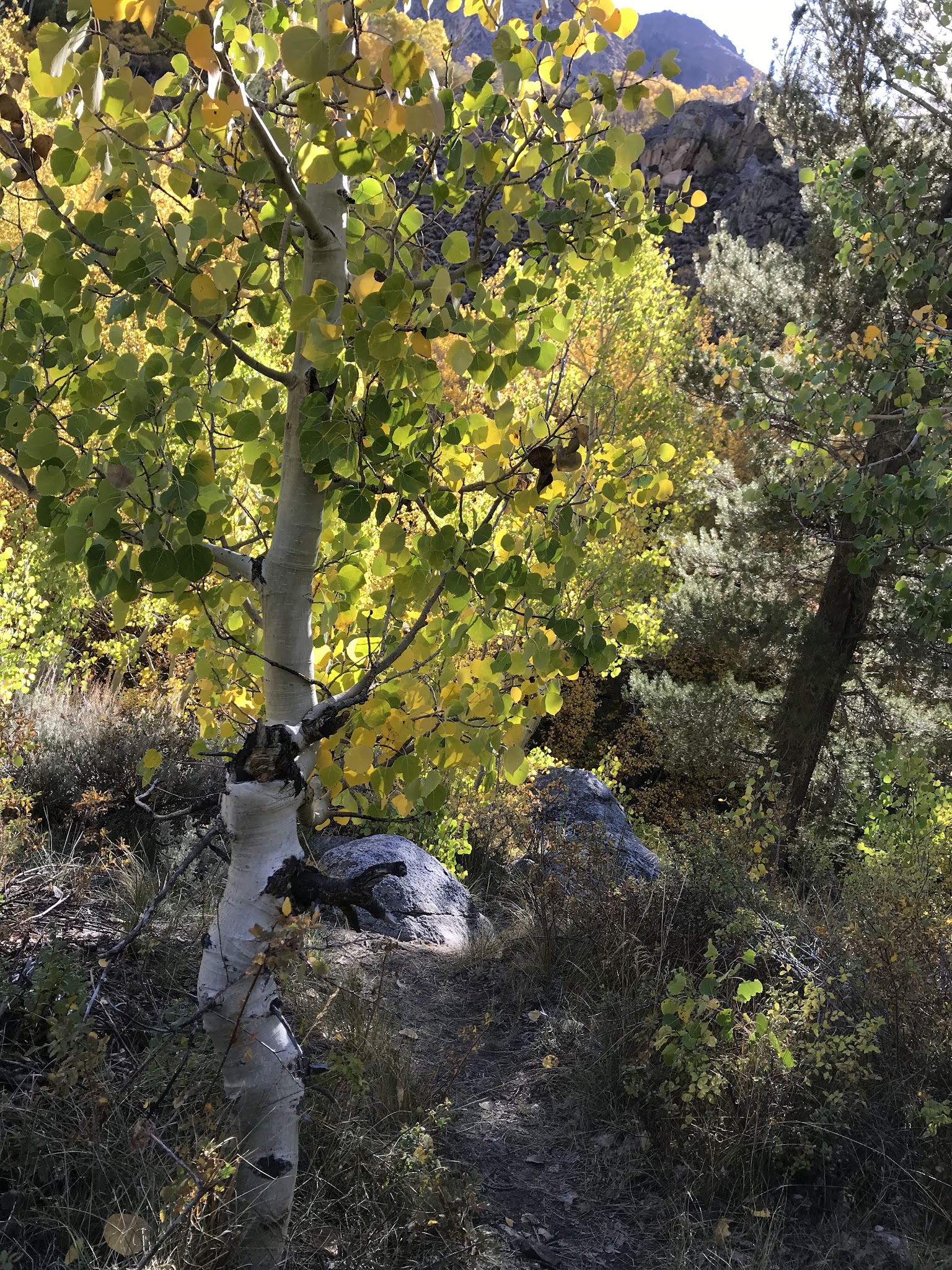 Mountain Glen Campground