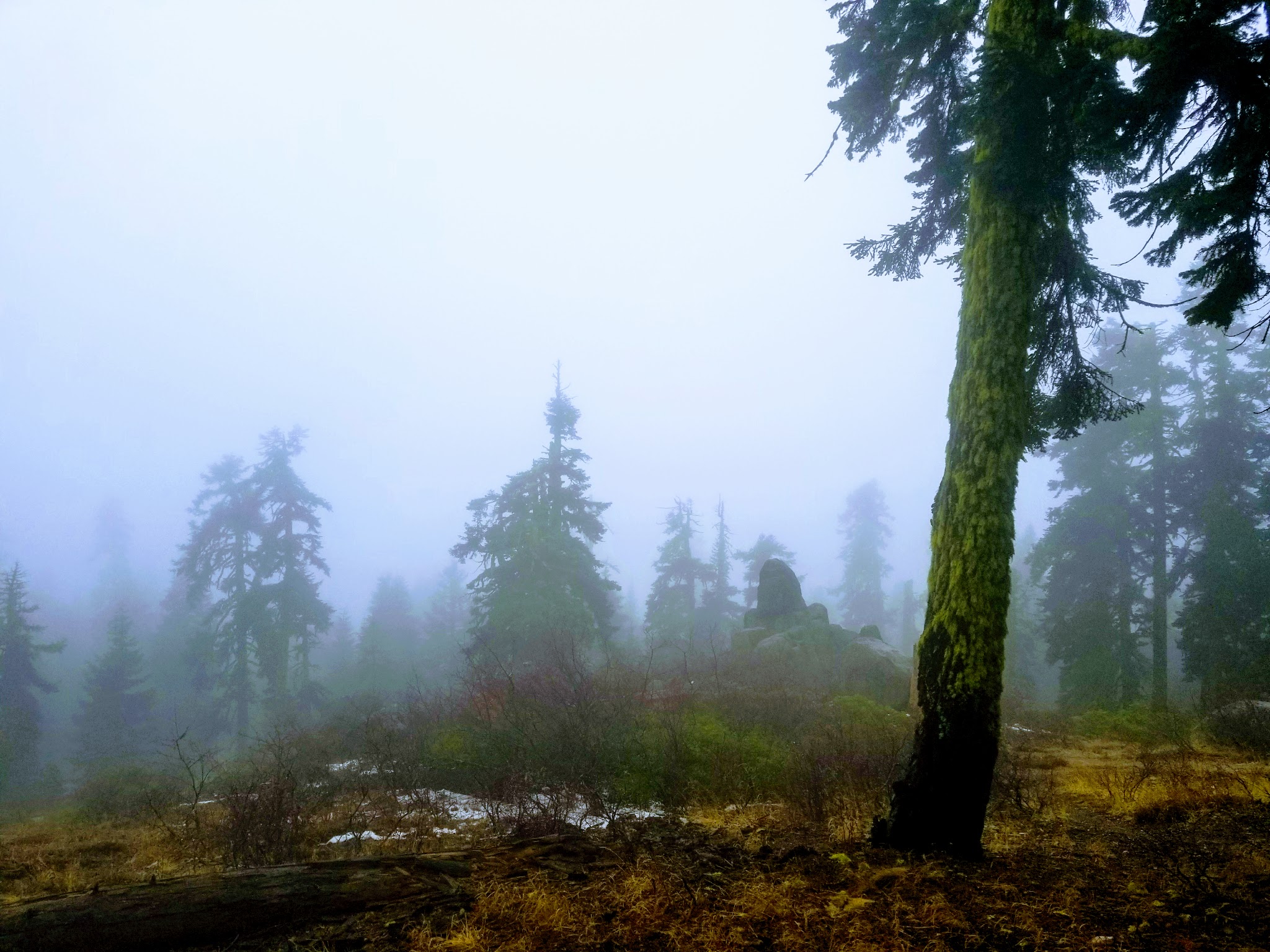 Mt. Ashland Campground