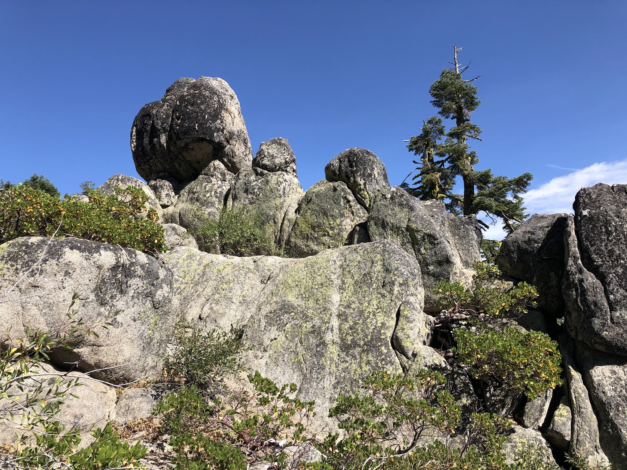Mt. Ashland Campground