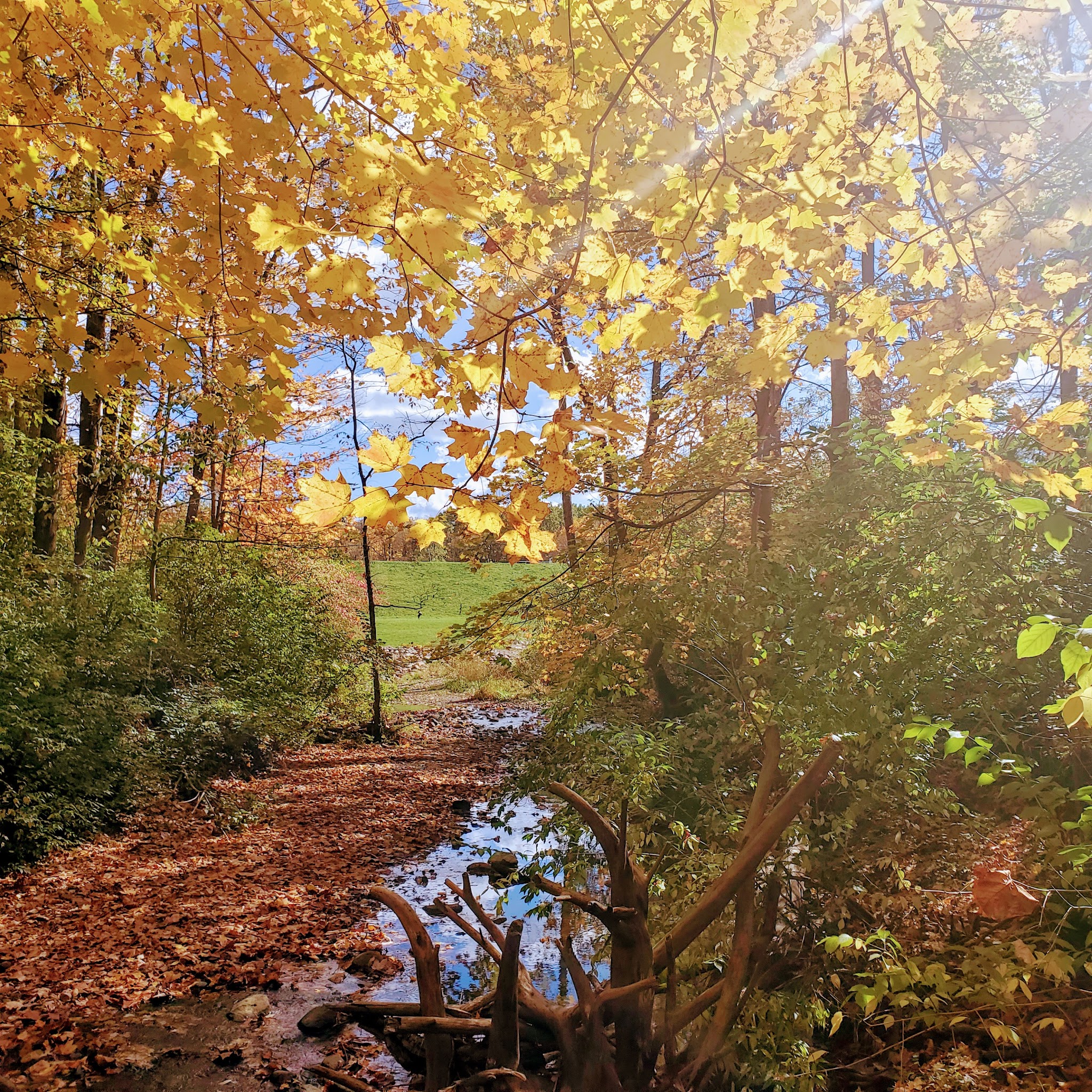 Mt. Gilead Campground