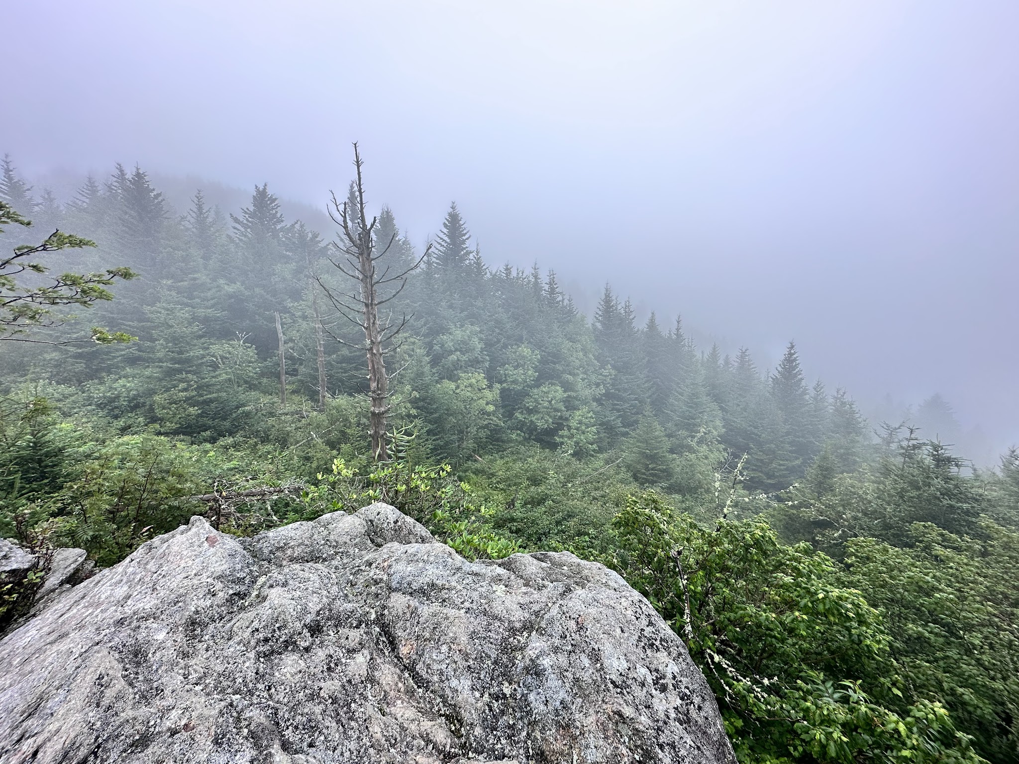 Mount Mitchell State Park