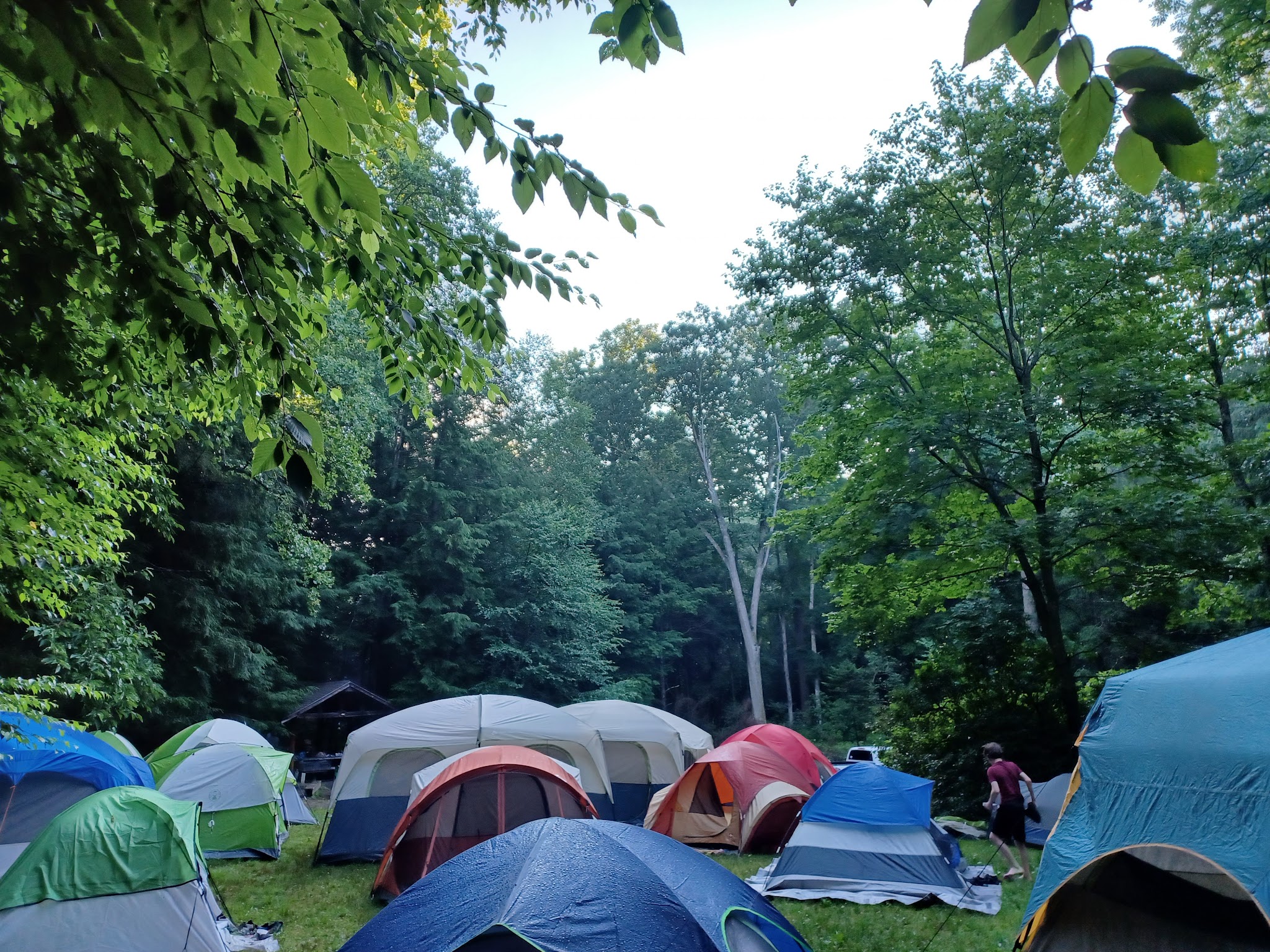 Mount Mitchell State Park