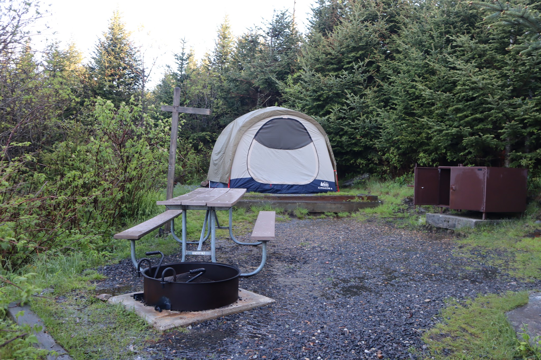 Mount Mitchell State Park
