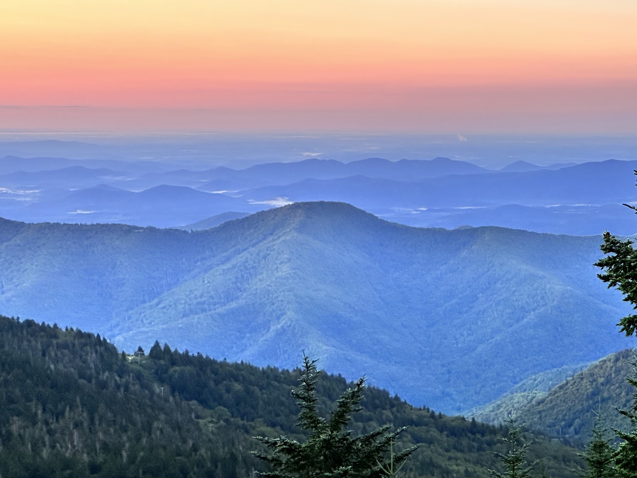 Mount Mitchell State Park