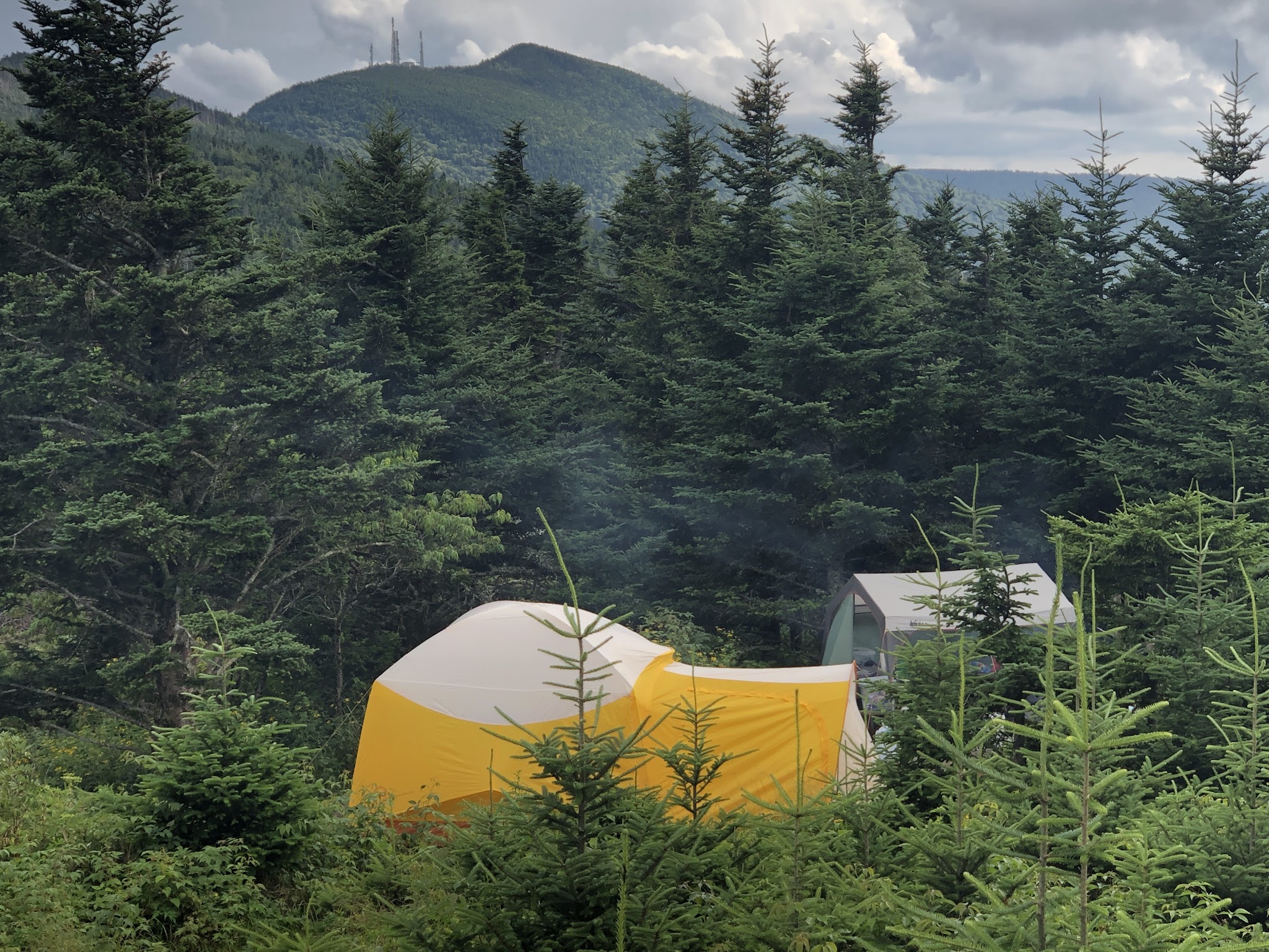 Mount Mitchell State Park