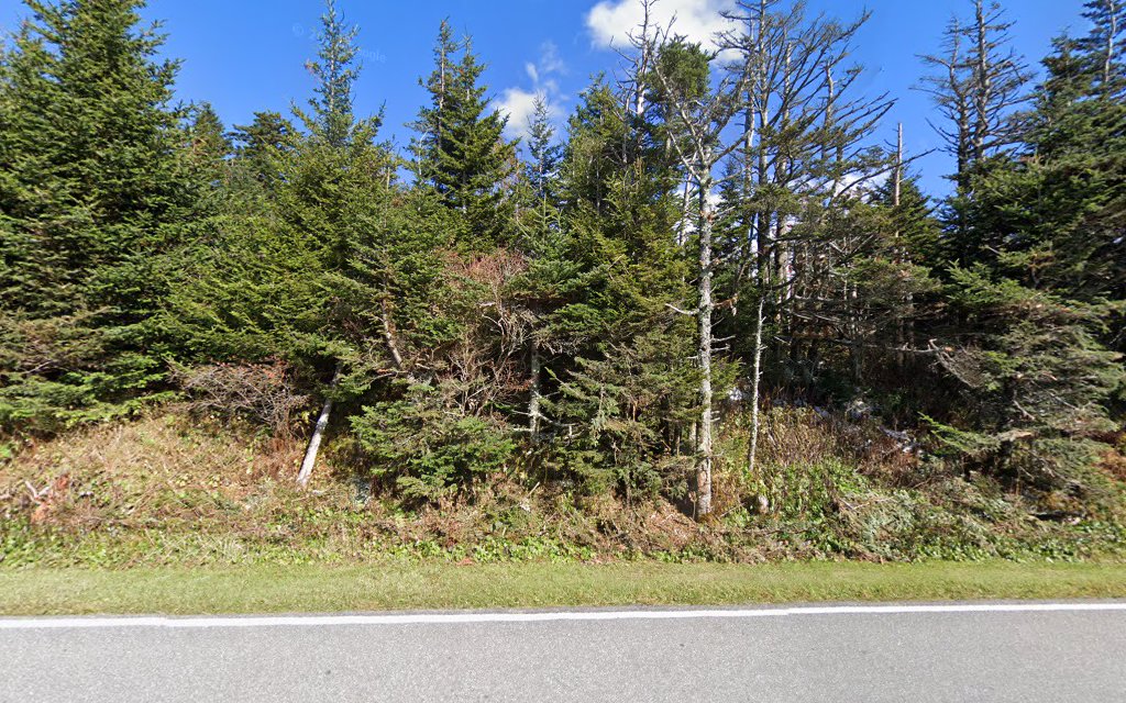 Mount Mitchell State Park