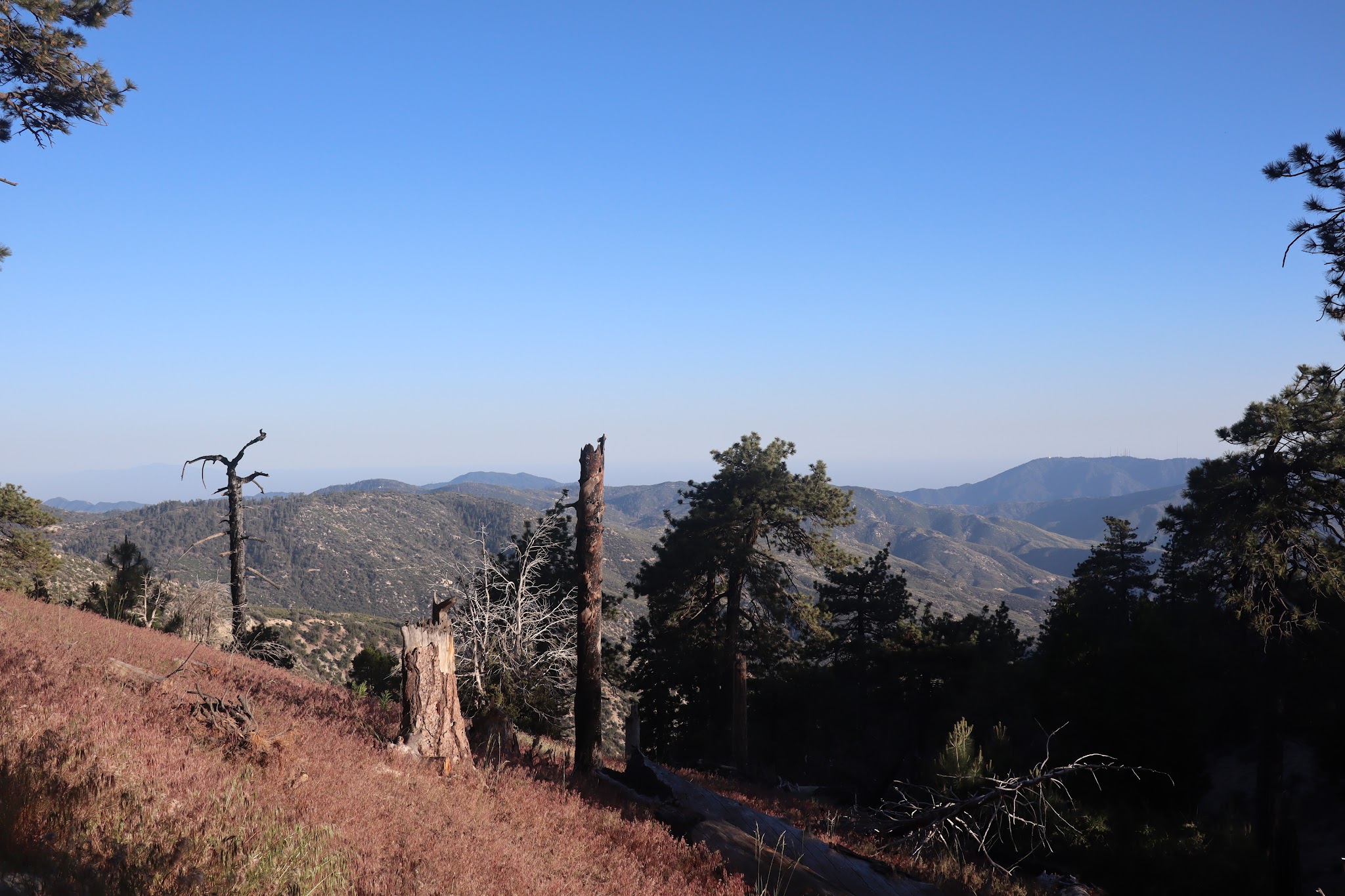 Mt. Pacifico Campground