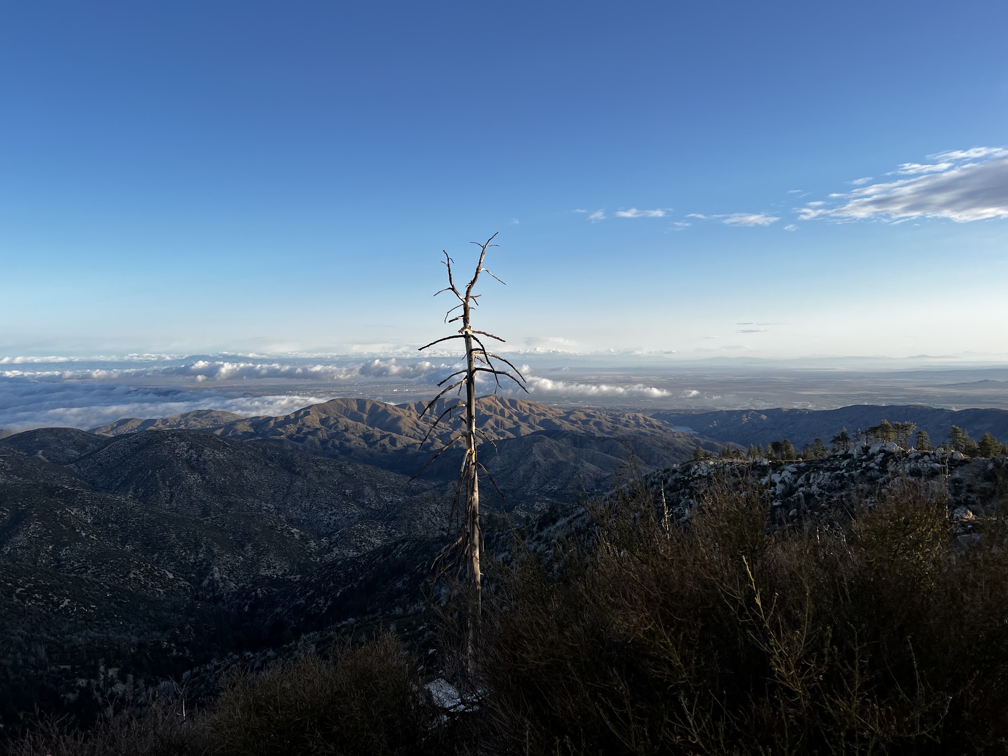 Mt. Pacifico Campground