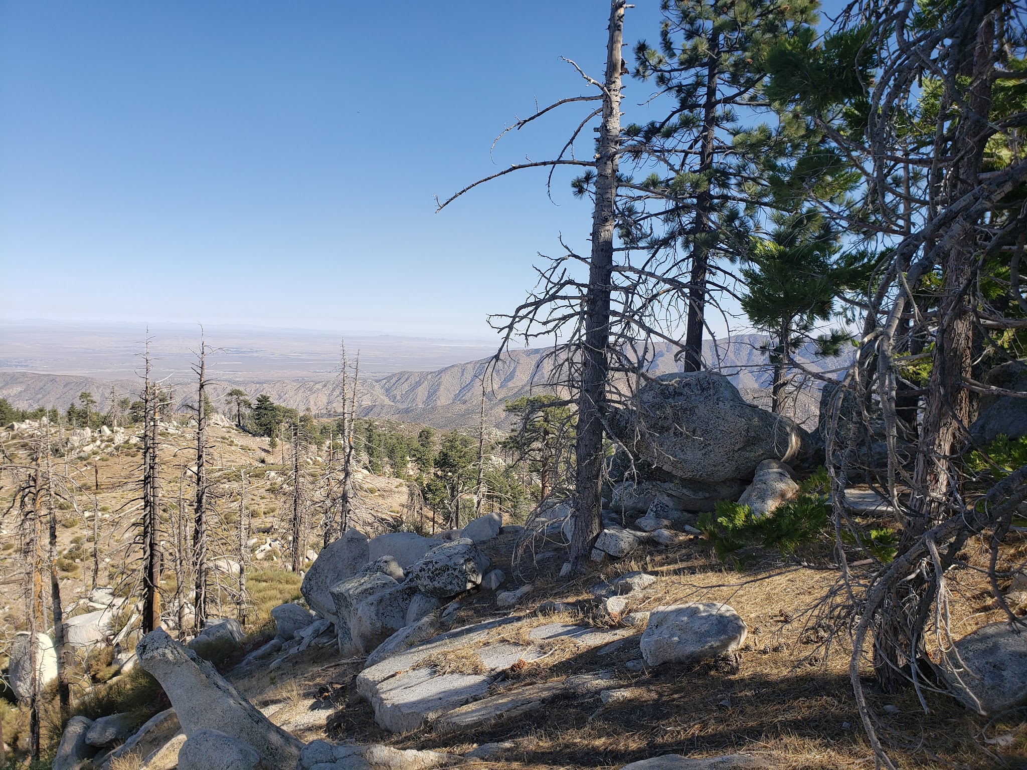 Mt. Pacifico Campground