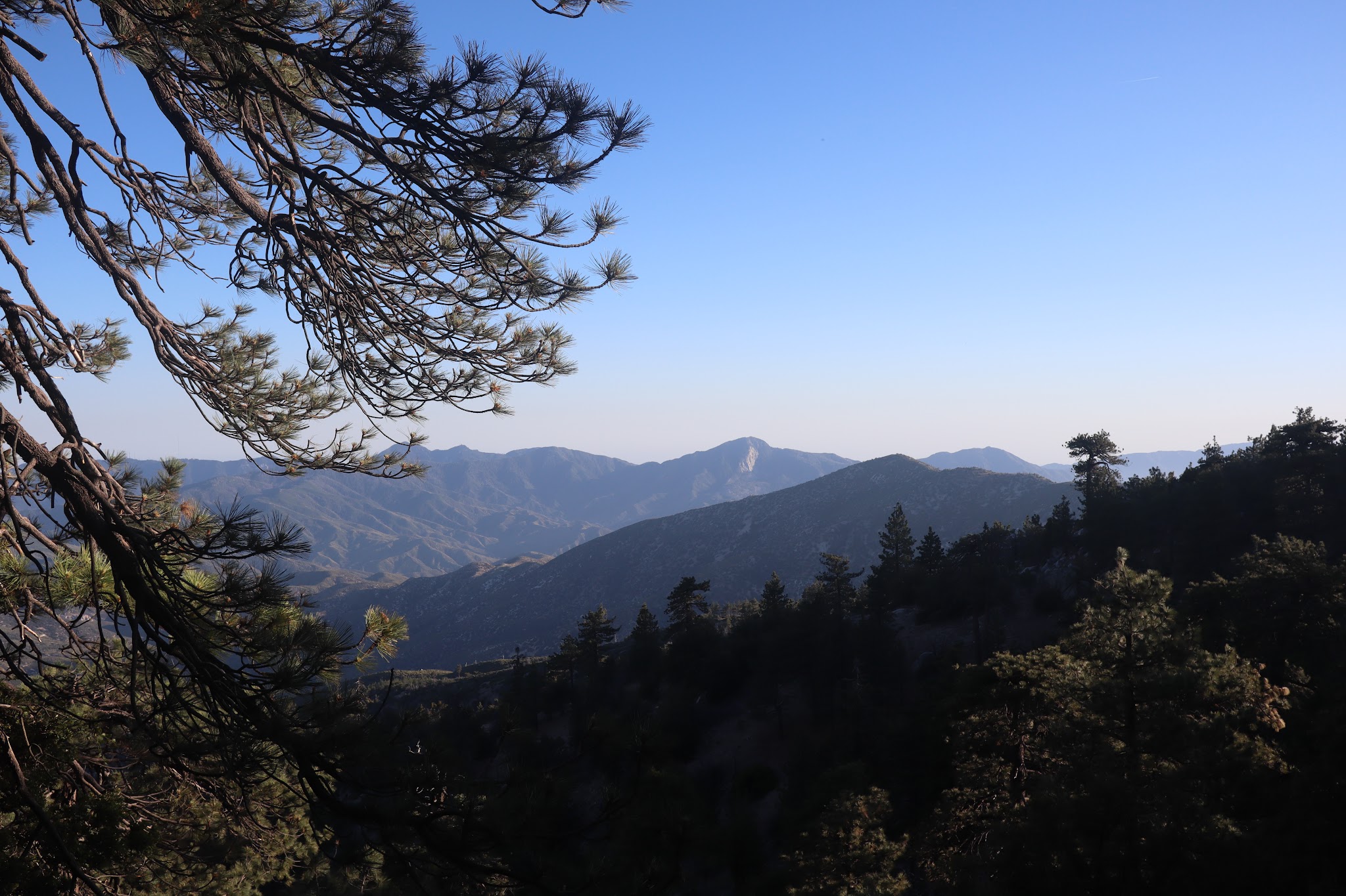 Mt. Pacifico Campground