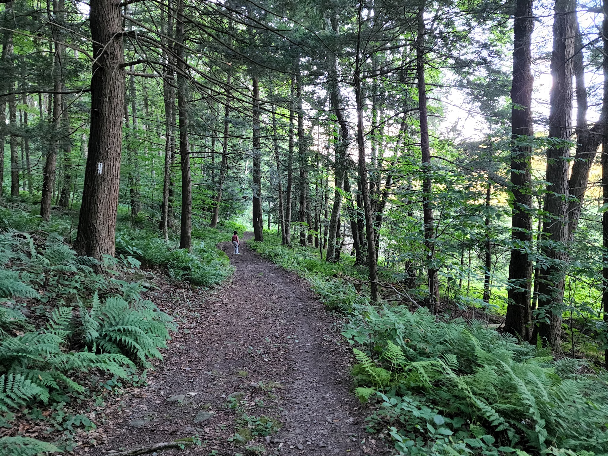 Mt Pisgah State Park